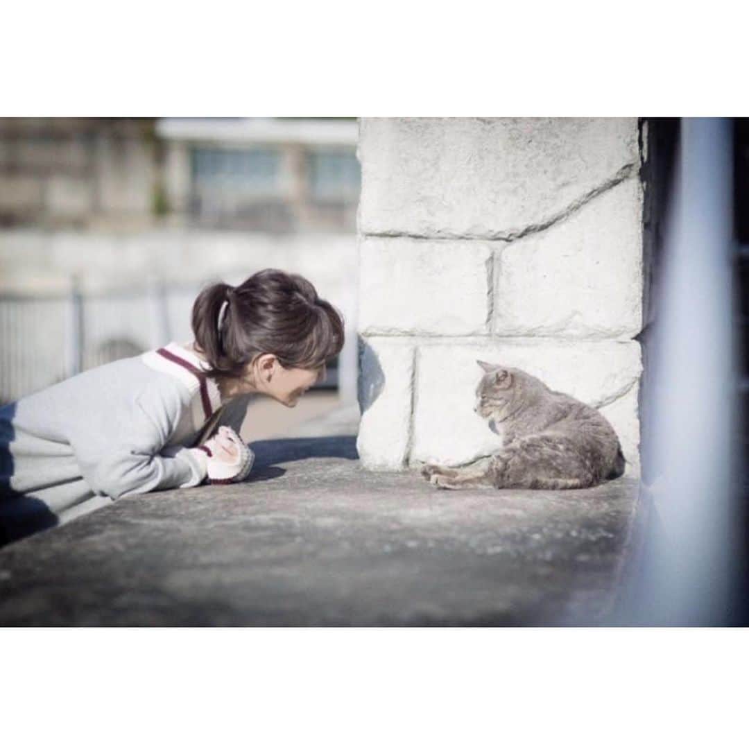 照井和希さんのインスタグラム写真 - (照井和希Instagram)「⚠️ 痛々しい怪我の画像を含みます  +-+-+-+-+-+-+-+-+-+-+-+-+-+-  去年の冬に自宅の駐車場で見かけた 風邪っぴきの野良猫🐈‍⬛ 鼻水もグジュグジュ、目やにも凄い状態で 数日ご飯をあげながら様子を見ていたら ある日から見なくなり半年くらいが経ちました。  そして数日前、愛犬の散歩中にまたぽっと現れた！ 様子を見ようと そ〜っと近付くと顔から血が出てるし🩸 前よりも風邪が悪化してる状態で😭💦 これはいけないと仲の良い餌やりのMさんに連絡。  TNR活動をされてる猫ボランティアさんをご紹介頂き 他の野良猫ちゃんの捕獲日に、 一緒に保護して貰う事になりました。 捕獲されるまでの間は抗生剤のお薬を毎日飲ませ 傷や風邪が悪化しない様に見守りました🐈  +-+-+-+-+-+-+-+-+-+-+-+-+-+-  そしてやっと去勢避妊手術を迎えました。 口腔内の炎症、左右の喉の部分も潰瘍が酷く 外傷がきっかけか？口腔内、歯肉炎などからの膿瘍が 破裂して頬に穴があいたか…😢 結果、全額勿論負担するからと この子にとって最善の処置を施して貰いました🐈‍⬛🌸  野良猫おたちゃん… きっと痛くて眠れなかった日も ご飯を食べれなかった日もあったと思います お外の子は過酷な世界で生きてる。 良くここまで我慢して生きてこれたなと…（ ; ; ） そしてタイミング良く保護して 病院に連れて行く事が出来て本当に良かったです😢😭✨  +-+-+-+-+-+-+-+-+-+-+-+-+-+-  つゆを保護した時、ボロボロの姿だった どうにかしてでも繋ぎたかった命  つゆちゃんに誓って 家族が居ない、助けを必要としてる猫ちゃんを ちゃんと救える飼い主でありたいです🌈  うちの近所の野良猫はまた増えて来ています そして今は子猫ラッシュの時期でもある 不幸な子をこれ以上増やさない為に 自分の出来る範囲で 『 #さくら猫 』計画、実行します🌸  おたちゃんのご心配ありがとうございました🐈 引き続き毎日見守りますのでご安心を♩¨̮⑅*  そしてご協力頂いた皆様 本当に本当にありがとうございました🐾🌸 おたちゃんもおつかれさま😢😭💕  +-+-+-+-+-+-+-+-+-+-+-+-+-+-  猫ちゃんをお迎えしたい方は連絡下さい📩  #保護猫を家族に   #野良猫 #TNR活動 #桜猫 #地域猫 #保護猫を家族に #ねこすたぐらむ #ねこのいる生活 #猫好きさんと繋がりたい #キジトラ」6月27日 22時45分 - kazu24ki