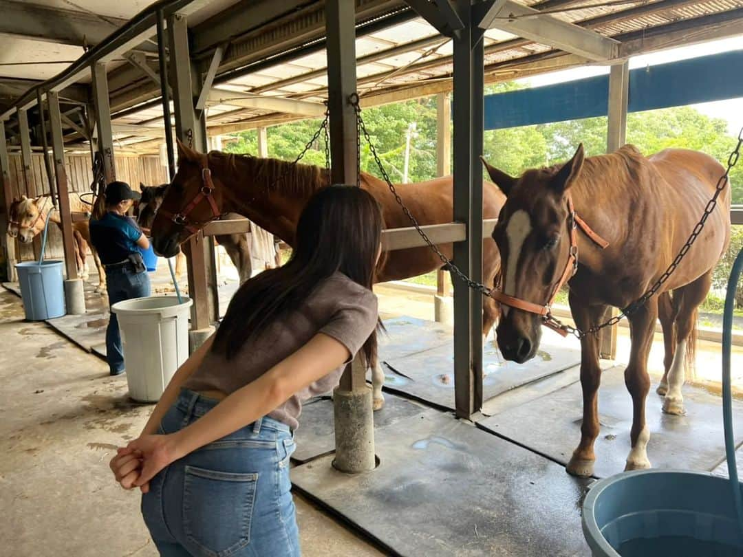 内田瑞穂さんのインスタグラム写真 - (内田瑞穂Instagram)「乗馬記念🐴 終わってからは内蔵グロッキーw 馬さんにもご挨拶させてもらいました☺️  #内田瑞穂#グラビア#グラドル#glamor#gravure#sexy#hot#asian#Japanese#girl#instagood#ig#ig_japan#igers#amorous#얼스타그렘#일본#섹시#일상#소통#팔로우#性感的#粉我#日本的#馬」6月28日 8時46分 - 1110mizuho