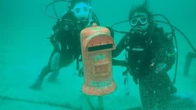 神谷麻美さんのインスタグラム写真 - (神谷麻美Instagram)「#scubadiving 楽しい💖🧜‍♀️💖🌴🌈💖✨   #scubadiver 💖🏖🐬🌈💖✨」6月28日 9時55分 - asamice428
