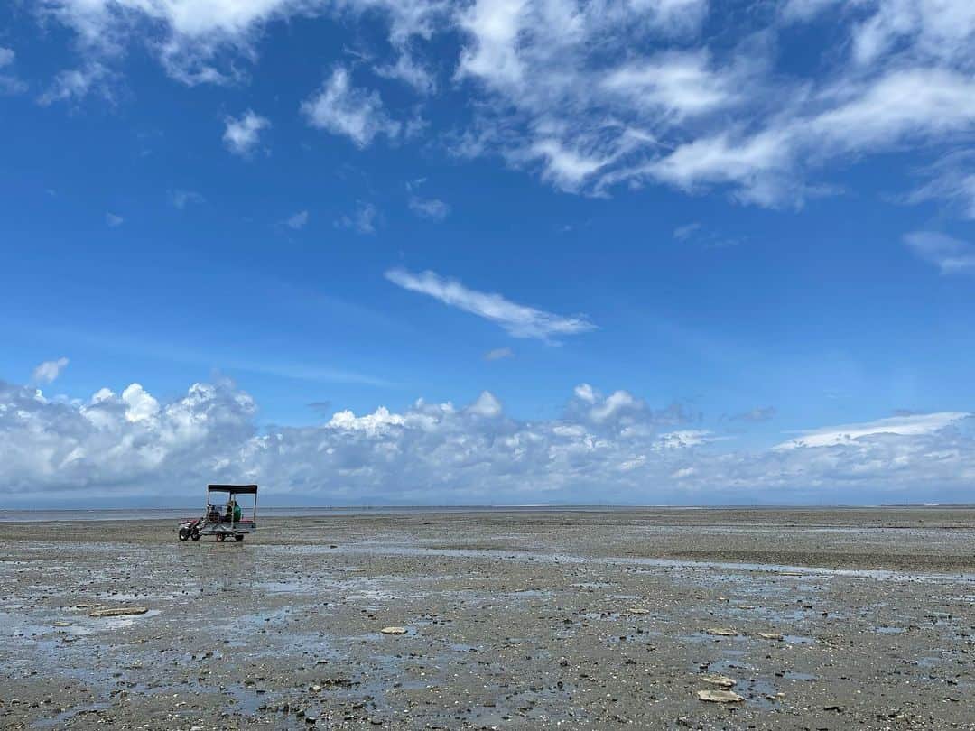 宮崎美子さんのインスタグラム写真 - (宮崎美子Instagram)「皆さん、こんにちは。  実は、先日、熊本の荒尾にも行ってきました。  写真は干潟に最適な乗り物、テーラーです。  干潟には小さなカニや、貝、ヤドカリなどいるんですよ。  じっと見てると、たくさん生物が動いていました。  お天気も良くて最高のテーラー日和でした。  カフェでは、クレープと、桃スムージーもいただきましたよ。  こちらは、RKK熊本放送の『週刊山崎くん』で放送は少し先の8月になります。また、お知らせしますね。  #rkk #熊本 #熊本放送 #荒尾 #干潟 #テーラー」6月28日 12時12分 - miyazakiyoshiko.official