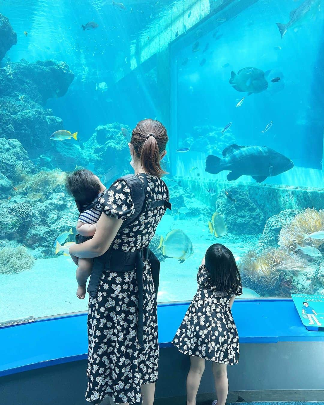 庄司ゆうこさんのインスタグラム写真 - (庄司ゆうこInstagram)「ちゅらうみ水族館へ🐟🐠✨ はるきくん初の水族館でしたが魚を目で追ったりして楽しそうでした❤️ ももちゃんは相変わらずワガママ放題で、はるきくんのためにベビーカー持参したのにももちゃんが乗るーってなり、はるきくんは抱っこ紐😂 せっかくお揃いコーデなのに全くカメラ目線もしてくれないし、今日のももちゃんはなかなか大変だった🤣 それにしても水族館でお魚さん見ていたらスキューバダイビングしたくなってきた🥰 #ちゅらうみ水族館#水族館#お魚#魚#お揃いコーデ#リンクコーデ#親子コーデ#花柄ワンピース#子連れ旅行#沖縄旅行#沖縄#姉弟#2人育児#こどものいる暮らし」6月28日 22時39分 - yuko.shoji