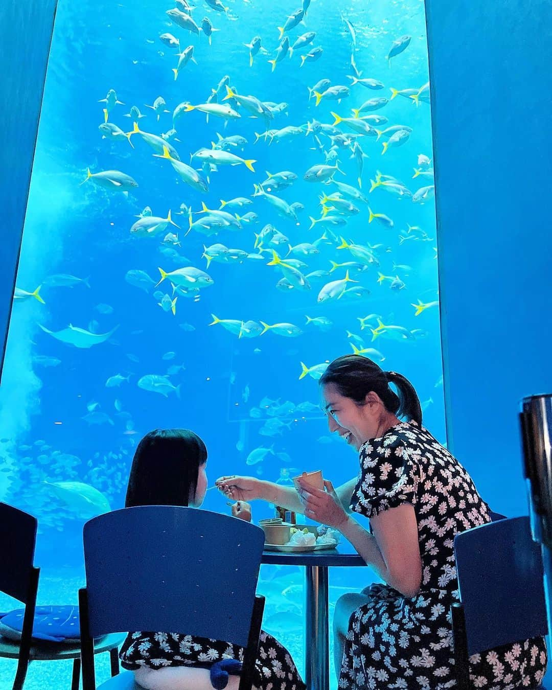 庄司ゆうこさんのインスタグラム写真 - (庄司ゆうこInstagram)「ちゅらうみ水族館へ🐟🐠✨ はるきくん初の水族館でしたが魚を目で追ったりして楽しそうでした❤️ ももちゃんは相変わらずワガママ放題で、はるきくんのためにベビーカー持参したのにももちゃんが乗るーってなり、はるきくんは抱っこ紐😂 せっかくお揃いコーデなのに全くカメラ目線もしてくれないし、今日のももちゃんはなかなか大変だった🤣 それにしても水族館でお魚さん見ていたらスキューバダイビングしたくなってきた🥰 #ちゅらうみ水族館#水族館#お魚#魚#お揃いコーデ#リンクコーデ#親子コーデ#花柄ワンピース#子連れ旅行#沖縄旅行#沖縄#姉弟#2人育児#こどものいる暮らし」6月28日 22時39分 - yuko.shoji