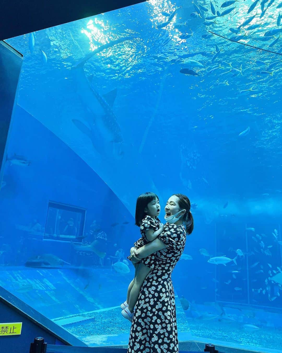 庄司ゆうこさんのインスタグラム写真 - (庄司ゆうこInstagram)「ちゅらうみ水族館へ🐟🐠✨ はるきくん初の水族館でしたが魚を目で追ったりして楽しそうでした❤️ ももちゃんは相変わらずワガママ放題で、はるきくんのためにベビーカー持参したのにももちゃんが乗るーってなり、はるきくんは抱っこ紐😂 せっかくお揃いコーデなのに全くカメラ目線もしてくれないし、今日のももちゃんはなかなか大変だった🤣 それにしても水族館でお魚さん見ていたらスキューバダイビングしたくなってきた🥰 #ちゅらうみ水族館#水族館#お魚#魚#お揃いコーデ#リンクコーデ#親子コーデ#花柄ワンピース#子連れ旅行#沖縄旅行#沖縄#姉弟#2人育児#こどものいる暮らし」6月28日 22時39分 - yuko.shoji