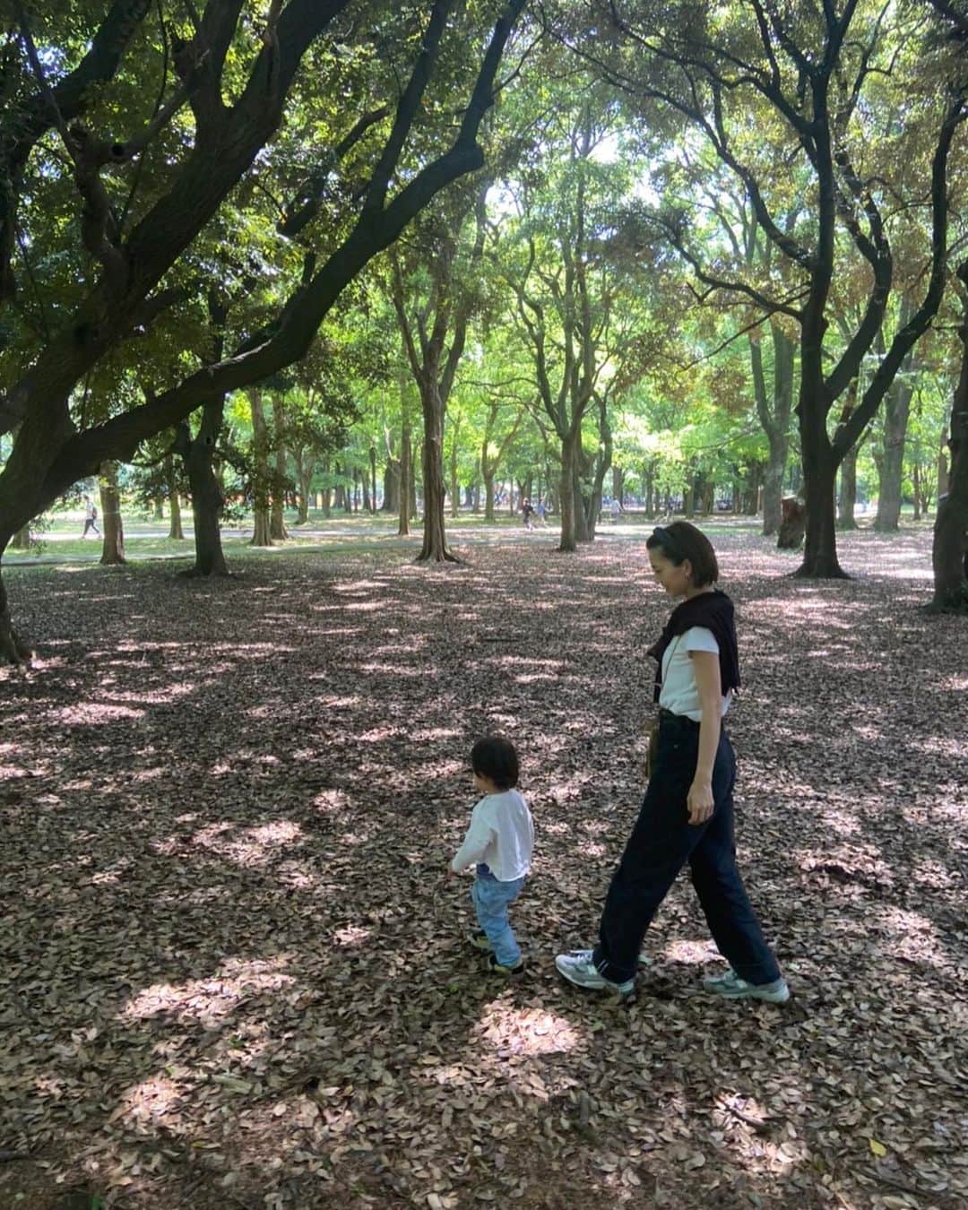 安田美沙子さんのインスタグラム写真 - (安田美沙子Instagram)「いつかの家族で公園🤍  兄は自転車に補助輪なしですぐ乗れるようになり、乗り回しています。笑  弟は。。。 兄のようにベビースイミングも行けず、こどもちゃれんじも取ってあげてないし、何もできていない。  でもいつもにいにいを横目でチラ見して、学んでくれているみたい☺️  逞しい弟🤍ありがとう。  また家族で公園いきたいなー  #park  #family #brothers #5yearsold  #2yearsold」6月29日 10時59分 - yasuda_misako