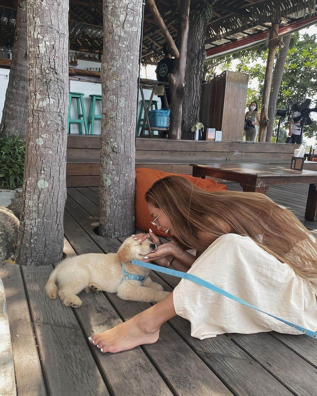 浜田咲希さんのインスタグラム写真 - (浜田咲希Instagram)「@jungleclubsamui で かわいすぎる子ちゃんに 出会えたよ〜🐶💛 まだ３ヶ月ベイビーだって🍼 わたしのロングヘアに夢中で 遊んでくれた🙈🧡 なんて愛おしいの〜💛  #dog#love#dogstagram#instadog#goldenretriever#babydog#kohsamui#cute#trip#thailand」6月29日 12時00分 - sakihamada