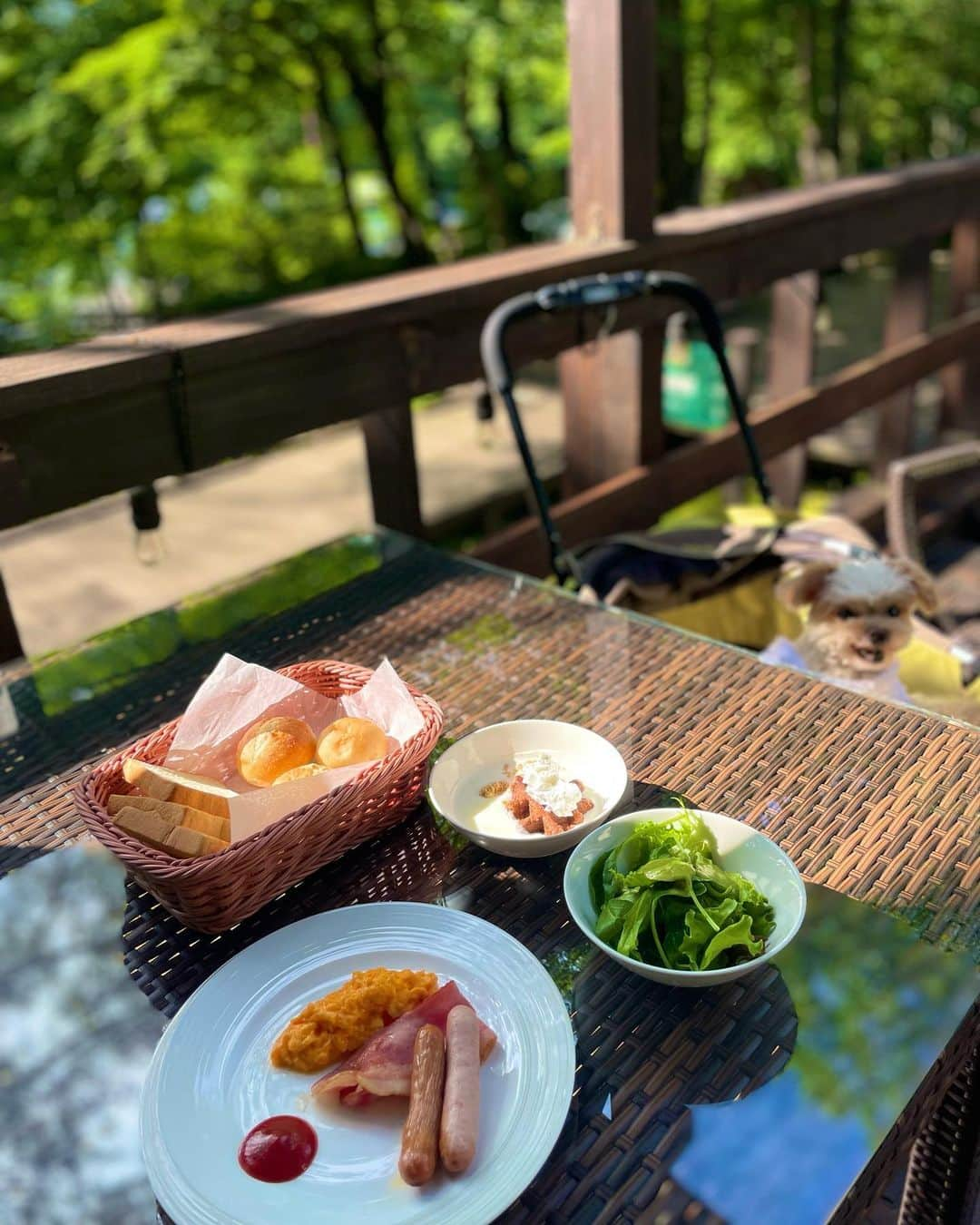 寿リリカさんのインスタグラム写真 - (寿リリカInstagram)「♡ 那須塩原に旅行🌳🍃🚗 ³₃⛰ ♡ らぶちゃん🐶もいっしょにお泊まりできるフォレストヒルズ那須のリゾートヴィラ🏠 ♡ デラックススイート・ヴィラは、天然温泉+専用ドッグラン+テラス付で快適生活でした♨️🐶😍🙌 ♡ 🐶愛犬に優しい🐶をコンセプトにしたお部屋で、段差がなくて滑らない床になっていたり、わんちゃん用グッズもばっちり揃っていたよ🐶✌️ ♡ お部屋のドッグラン以外にもフィールドアスレチックのある広いドッグランとか3つのドッグランがあって、自由に走り回れてらぶちゃんずっと笑っているように見えてうれしかった🐶💓💓 ♡ 夜はお庭でBBQ😋🍖🔥 シェフ厳選肉4種のボリュームセットと、娘はキッズプレートに大満足👧💯💮❤️デザートは牧場のミルクアイス🤍🤍 ♡ わんゃん用のごはんもあって、塩・砂糖・化学調味料などの添加をしない健康メニューだから安心して頼めて、らぶちゃんも美味しそうにペロリしてたよ🐶💓 チェックインの時に選べる2種類のおやつも無添加でうれしいポイント🫶 ♡ 木板張りのバスルームは自家源泉100％の温泉♨️美肌の湯として知られるアルカリ単純温泉の風呂の那須温泉をお部屋でゆっくり楽しめました🥰 ♡ 夜のライトアップも綺麗でたくさんおさんぽしたよ〜🐶🫶 ♡ 翌朝は敷地内にあるレストランのテラスで那須郡司三元豚のハム＆ソーセージ、那須御養卵のスクランブルエッグと、那須牧場が愛情込めて育てた上質な素材を贅沢にいただきました😋☀️*ﾟ サイドメニューはビュッフェスタイルでフルーツやヨーグルトやサラダ、焼きたてのパンも美味しかったよ😋🍞🥖 ♡ スタッフ様たちも大自然のような広い心で満喫させてもらえて楽しかった🥰 愛犬家におすすめスポット🫶🐶 ♡ PR @hotel_foresthills #フォレストヒルズ那須 #ペットと泊まれる宿 #犬と旅行 #犬と休日 #ペットホテル #愛犬と旅行 #ペット可 #トリドリベース」6月29日 18時13分 - ririkakotobuki