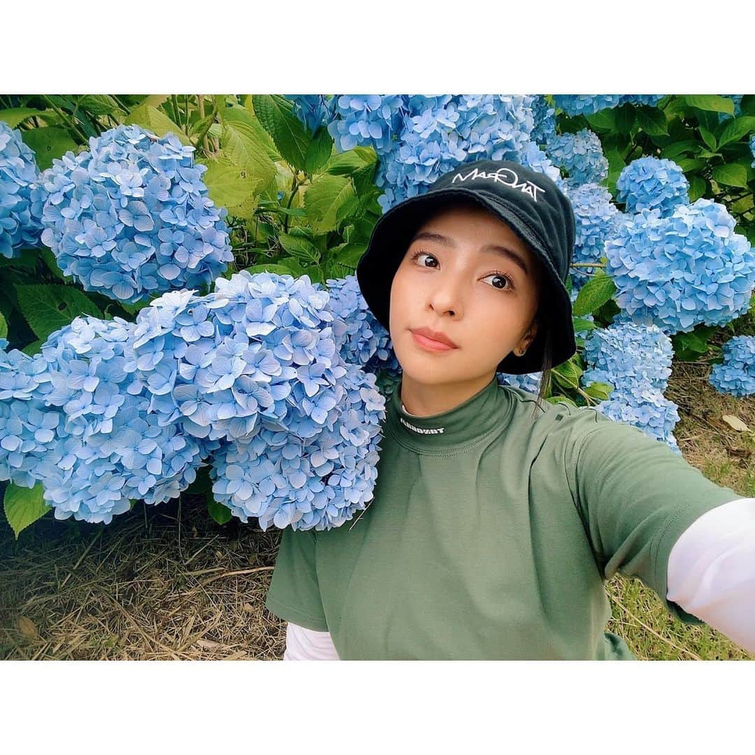 水崎綾女さんのインスタグラム写真 - (水崎綾女Instagram)「紫陽花がとっても綺麗でした❤︎  ⛳️🏌️‍♀️⛳️🏌️‍♂️⛳️🏌️‍♀️⛳️  @tangram_tokyo   #golf #photo  #photography  #ゴルフ #⛳️ #ゴルフ女子  #ゴルフ初心者 #tangram #tangramtokyo #ゴルフウェア #tangramgolf #tangramwear #紫陽花 #アジサイ #あじさい」6月29日 21時18分 - misakiayame