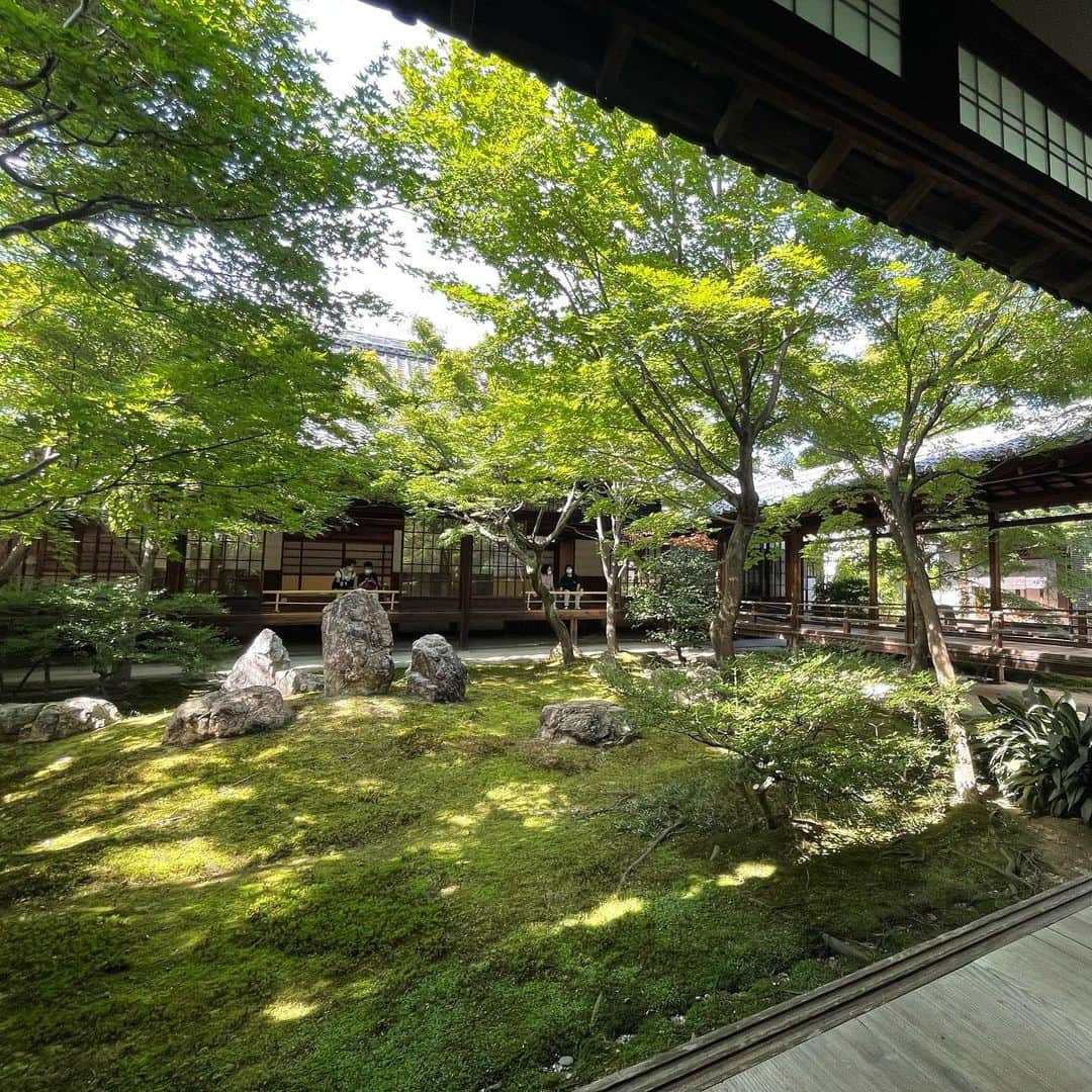 宇内梨沙さんのインスタグラム写真 - (宇内梨沙Instagram)「おやすみで京都へ  日本庭園が好きなので 綺麗なお庭があるお寺に行きました。  緑の美しさを堪能したので 紅葉の時期にまた来たいと思いました☺️🍁  #そうだ京都行こう」6月29日 22時27分 - risaunai