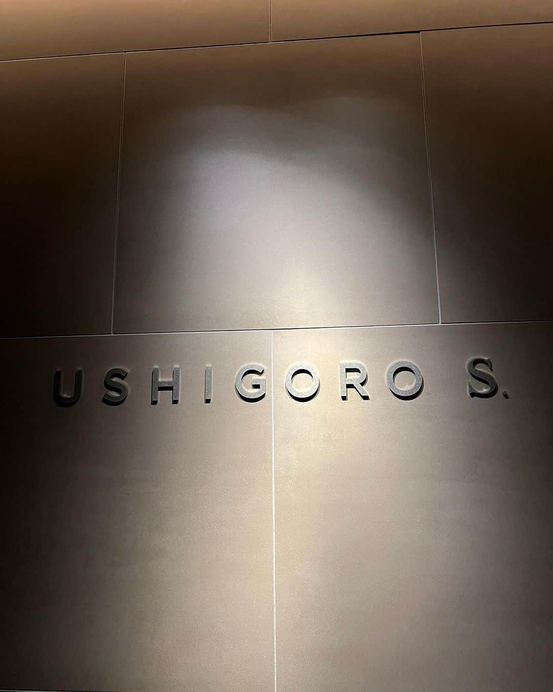 天木じゅんさんのインスタグラム写真 - (天木じゅんInstagram)「. . @ushigoro_yakiniku  USHIGORO S. 新宿店へ🤍  安定に美味しすぎました。 全席個室でゆっくりもできて 景色も良くて最高でした🙏🏻🥩  #ushigoros #ushigoro #焼肉」6月30日 11時29分 - jun.amaki