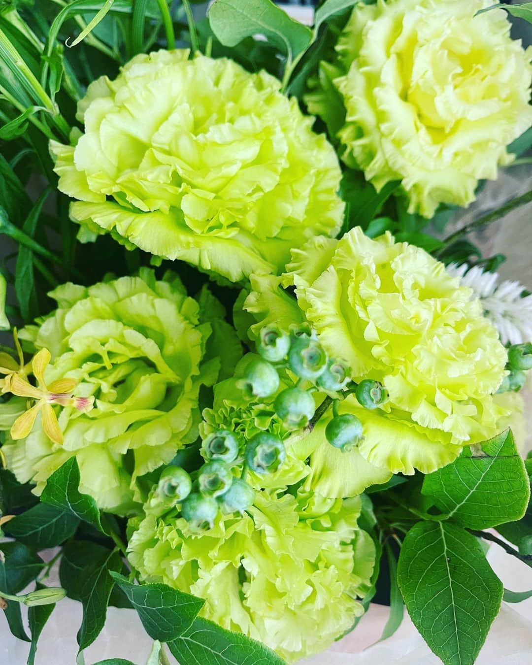 堀内敬子さんのインスタグラム写真 - (堀内敬子Instagram)「さすがな現場に感謝しかないです。  またお知らせします！  #撮影 #感謝 #美しいお花をありがとう   #またお知らせします  #暑いので皆様お気をつけて」6月30日 16時09分 - horiuchi_keiko