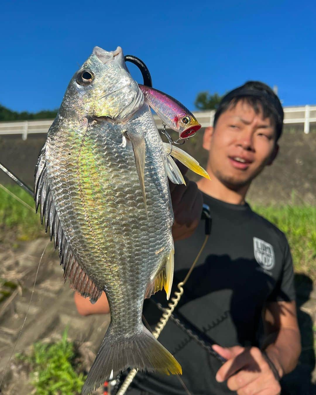 あさいあみさんのインスタグラム写真 - (あさいあみInstagram)「先日のお休みは恒例となってきた松岡塾🎣 今回は三重県のキハダ狙いへ🎣 と思ったら二日間時化た〜🤣🤣🤣  でも死ぬほど楽しい二日間🎣 トップチヌゲームにみんなで癒されました🎣  笑いすぎてまたシワ増えちゃった💓  松岡さん尾山さんありがとうございました❣️  #松岡塾　#チームDUEL #DUEL #yo_zuri #hardcore #ぶら釣り #lブルー」7月1日 10時11分 - asai_ami