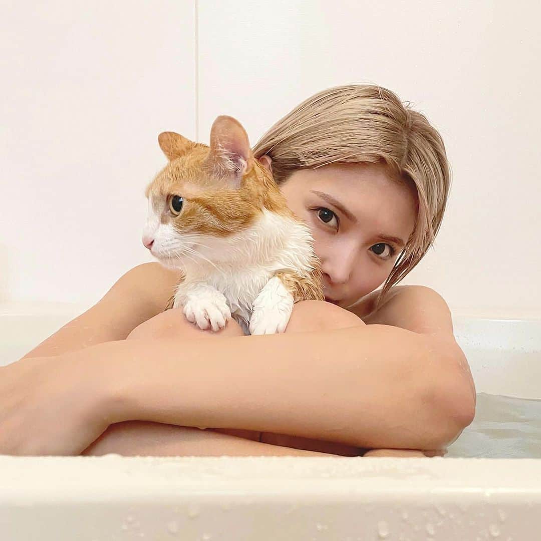 ききまるさんのインスタグラム写真 - (ききまるInstagram)「猫丸洗い」7月2日 20時19分 - kikigram_97