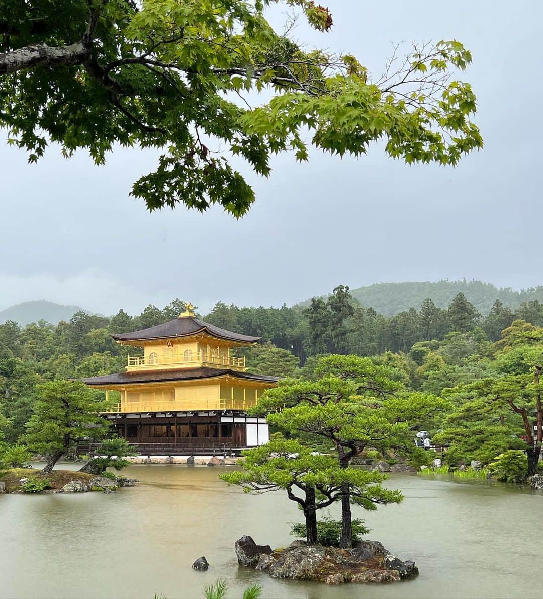前田典子さんのインスタグラム写真 - (前田典子Instagram)「雨の#京都 #金閣寺　✨ やっぱり凄い👍✨ 雨が降って池の水も濁ってどよ〜んとした天気でも ピカピカのオーラを放ってた✨ #美しい #ピカピカ✨✨✨✨✨ #金ピカ✨✨✨✨✨  #京都大好き #マエノリ旅」7月4日 0時42分 - maenorichang