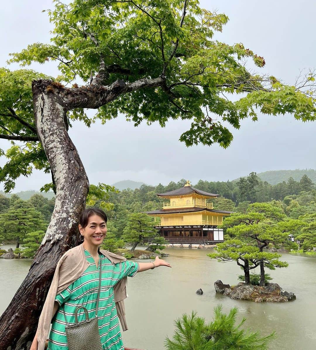前田典子さんのインスタグラム写真 - (前田典子Instagram)「雨の#京都 #金閣寺　✨ やっぱり凄い👍✨ 雨が降って池の水も濁ってどよ〜んとした天気でも ピカピカのオーラを放ってた✨ #美しい #ピカピカ✨✨✨✨✨ #金ピカ✨✨✨✨✨  #京都大好き #マエノリ旅」7月4日 0時42分 - maenorichang