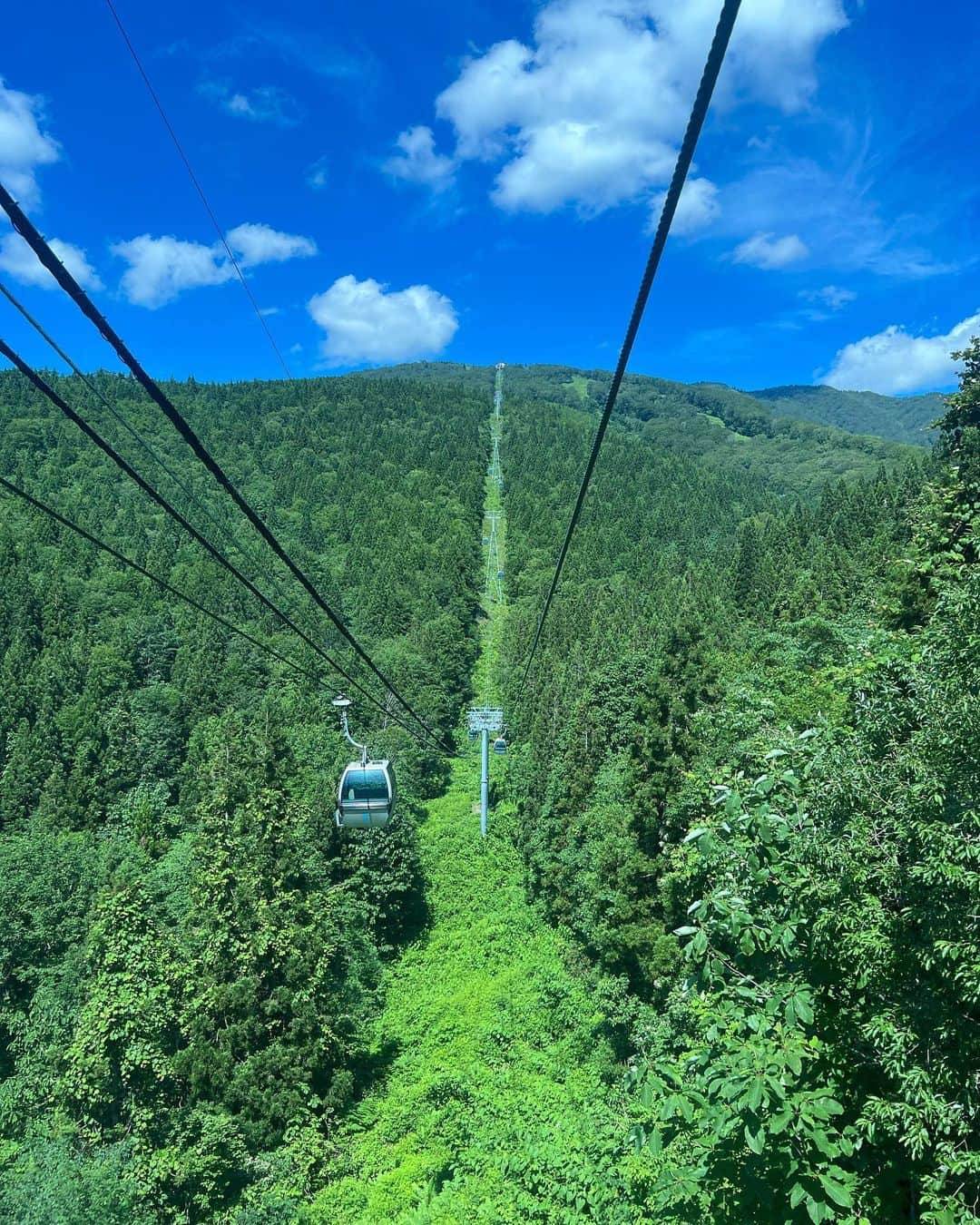 相場詩織さんのインスタグラム写真 - (相場詩織Instagram)「【北秋田市 森吉山⛰】 ⁡ 花の百名山でもある森吉山へ ハイキングに！ @kitaakita_city   ゴンドラからの景色も綺麗でしたが 一生懸命歩いた先に待っている絶景と 身体に触れるひんやりとした空気が最高でした✨ ⁡ 森吉山は紅葉、樹氷の時期も綺麗ですが ニッコウキスゲなどの美しい高山植物が 咲き乱れる夏もまた違った良さがあり とても美しかったです☺️ ⁡ 下山後の冷たいクロモジ茶も スッキリしていて美味しかったー🥰 ⁡ 今回はハイキングでしたが 次は登山用装備で山頂を目指したいと思います⛰ そのためにも引き続き日頃から足腰を鍛えねば🔥 ⁡ iNtimité by EYEVANのメガネ 私はお店でUVカットレンズにしてもらったので この夏大活躍しています👓 紫外線で目が充血してしまうから本当に助かります😭✨ ⁡ ⁡ #東北 #東北旅行 #東北PR局 #秋田 #森吉山 #ハイキング #アウトドア #登山 #メガネ女子 #メガネコーデ #バケハ」7月4日 19時46分 - shioriaiba0801