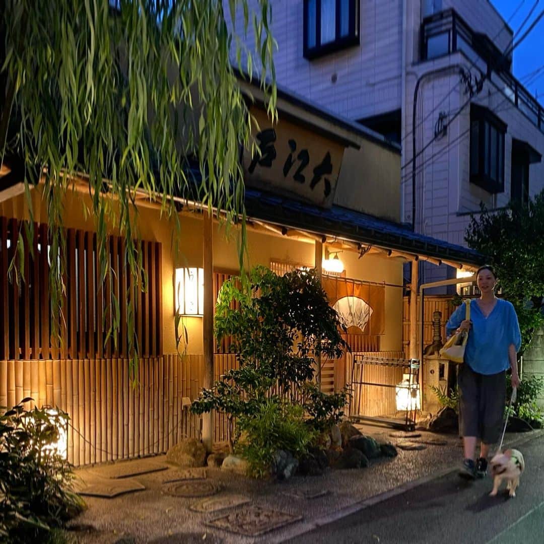 川原亜矢子さんのインスタグラム写真 - (川原亜矢子Instagram)「Night Walking #tokyo #japan #mexicanrestaurant #lajolla #walking #dog #frenchbulldog #メキシコ料理 #夜散歩 #フレンチブルドッグ #フレブル #犬 #ヨジンヨ」7月4日 20時09分 - ayakokawahara
