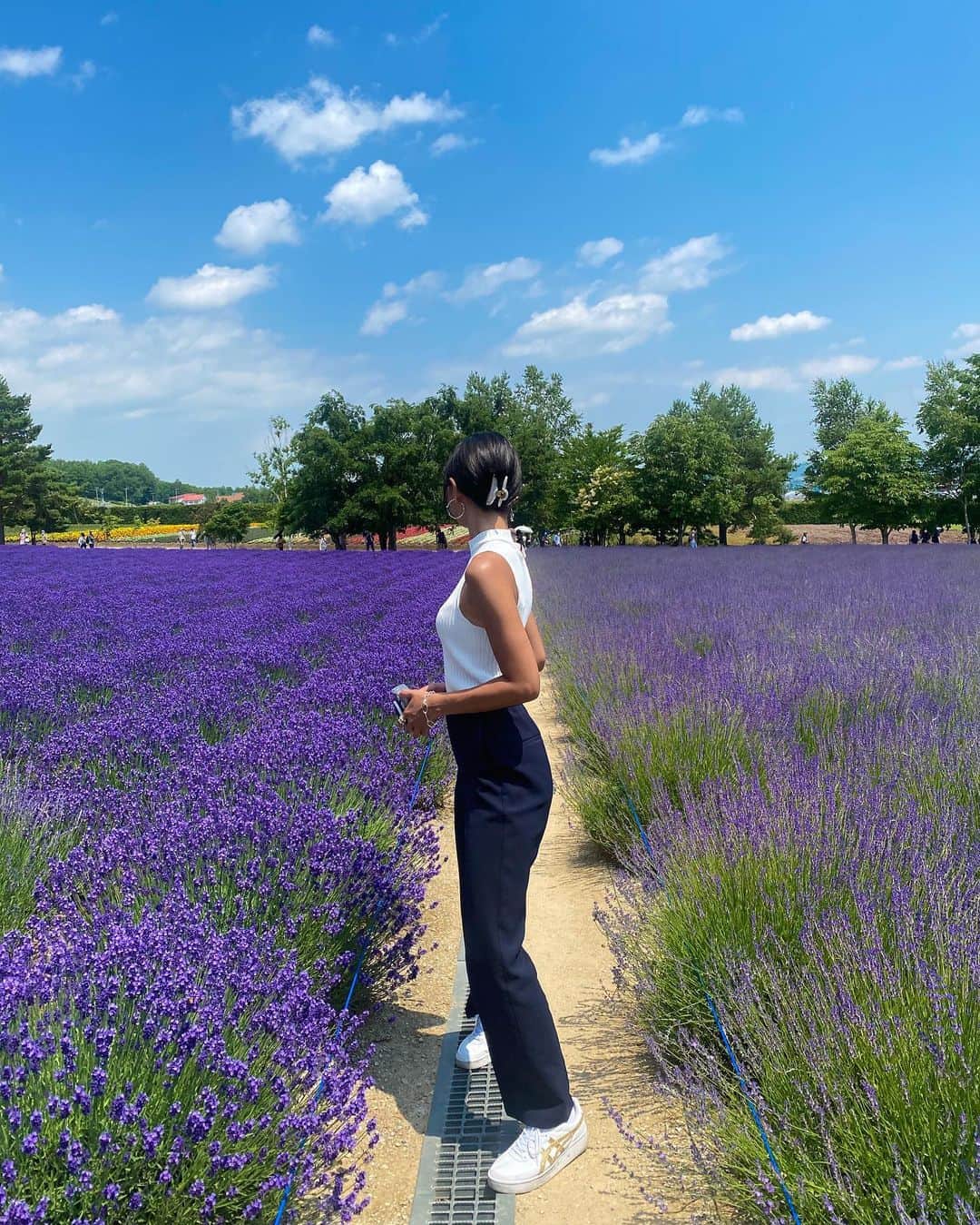山賀琴子さんのインスタグラム写真 - (山賀琴子Instagram)「ラベンダー畑💟  一面のラベンダーはちょうど見頃でとても綺麗だった☺︎ 蜂たちも忙しそうにしておりました🐝」7月4日 21時13分 - kotokoyamaga