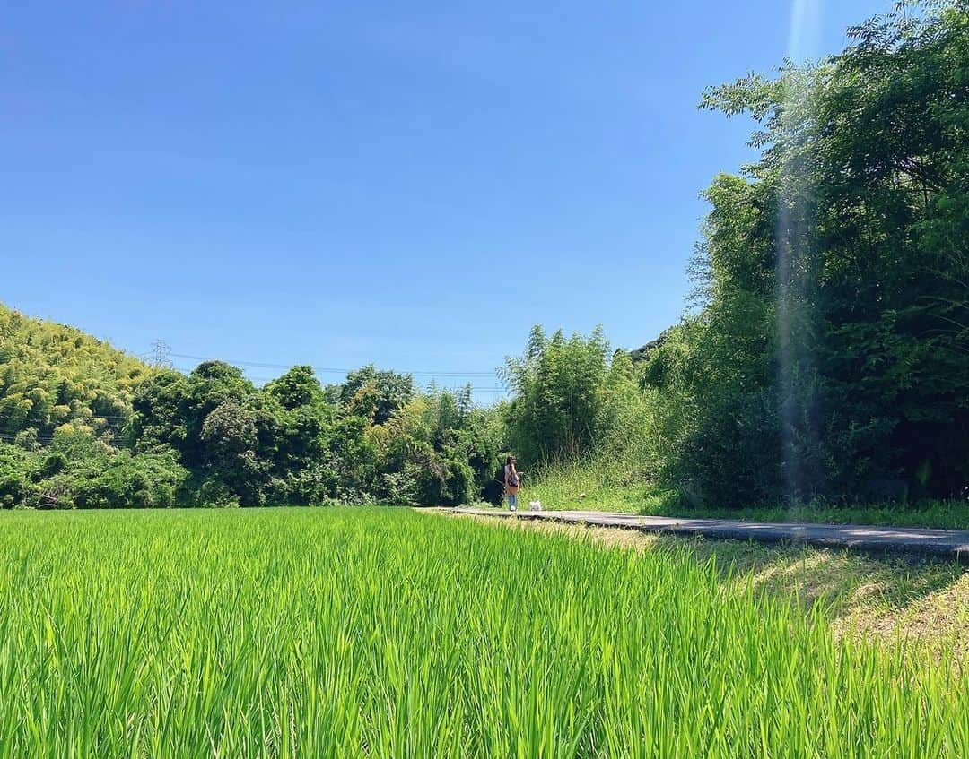 小野真弓さんのインスタグラム写真 - (小野真弓Instagram)「おはようございます☺️ 今日も良い一日を🌈✨ 木更津は、やや風が強め🍃  台風の影響が出ているエリアの皆様、 お気をつけてお過ごしくださいね☔️^_^  お知らせです📺👀  7月6日（水） 11:45〜14:45 フジテレビ 【ポップUP❗️】 〜芸能ズームUP❗️〜 のコーナーに、出演させて頂きました😊  木更津生活に密着してくださいまして、 ハナハルアオナナも一緒です(*´꒳`*)🏡💓 是非ご覧くださーい( ´ ▽ ` )⛰🌊🍅🍆🌴🐾  #木更津暮らし#千葉暮らし #犬と猫のいる暮らし」7月5日 9時06分 - hanaharuaroi