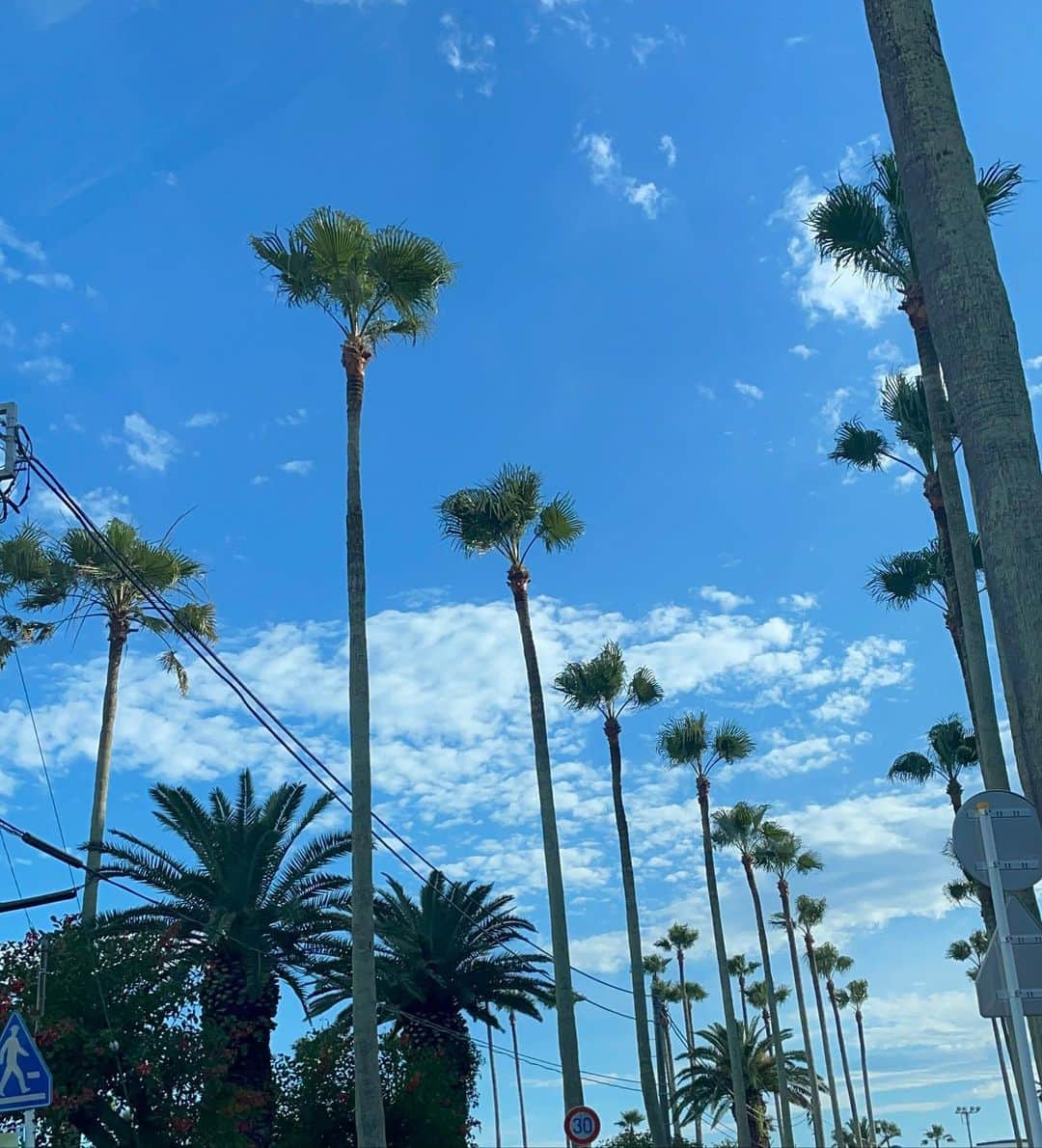 中林美和さんのインスタグラム写真 - (中林美和Instagram)「@amerivintage 💗 前から見たらオールインワン、 後ろから見たらワンピース。 風の強いビーチ沿いにもばっちりでした。 今年は何回 行けるかな🏖💕  #amerivintage#summer#beach」7月5日 10時24分 - miwanakabayashi