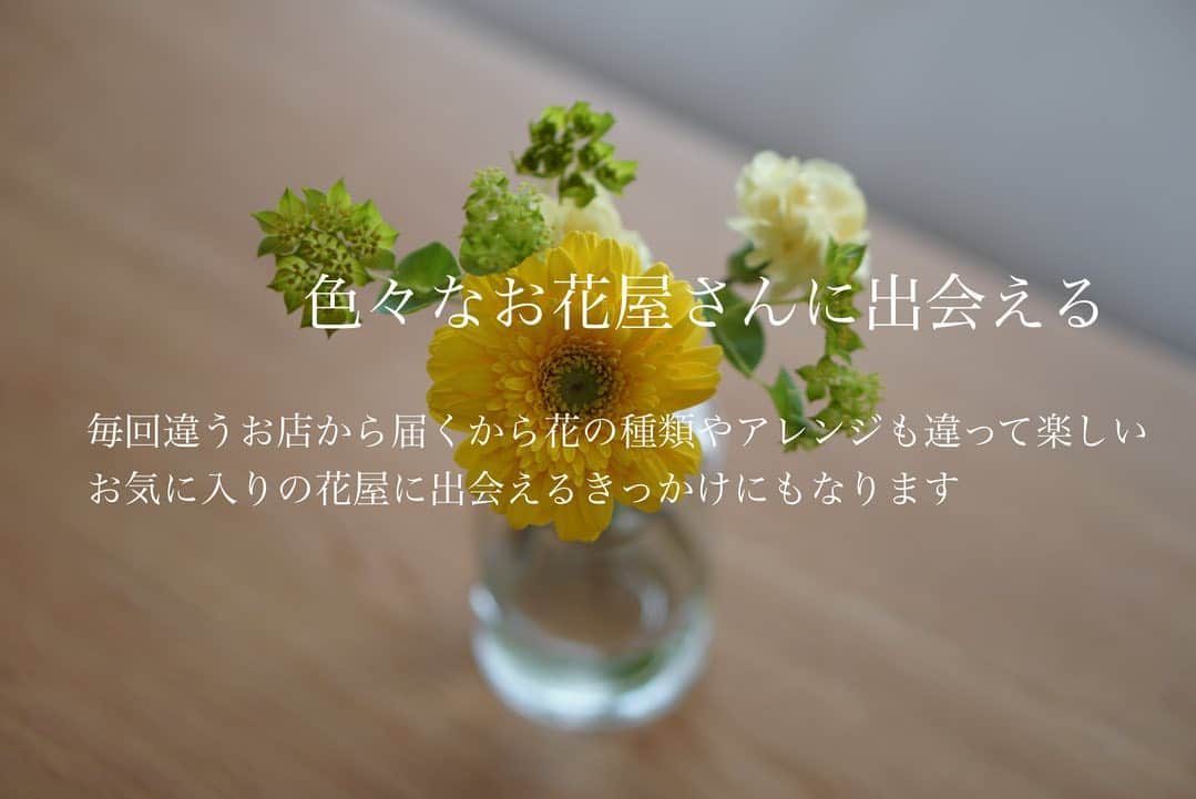 kozue._.picさんのインスタグラム写真 - (kozue._.picInstagram)「. . 花のある暮らしを体験して皆さまに発信する “アンバサダー”としての活動も一年が経ちました。 . 「はじめてみました」 「毎日しあわせな気持ちです」 など、温かいメッセージを頂けてとてもとても嬉しく思っています。いつもありがとうございます。 . 今回はブルーミーさんを利用して良かったポイントをまとめてみました。 少しでもご参考になれば幸いです🌷 . . . 本日使える限定クーポン！ クーポンコード▶︎BLM6 ※有効期限：2022年7月6日まで こちらのクーポンコードをお申込時に入力いただくと 初回のお届けが無料になりますので是非ご活用ください♩ @bloomee  . #シンプルな暮らし#持ちすぎない暮らし#子どものいる暮らし#こどもと暮らす#季節を楽しむ#すっきり暮らす#暮らしを整える#ミニマリスト#お花のある暮らし#ブルーミー#bloomee#お花の定期便#お花のサブスク#PR」7月6日 12時14分 - kozue._.pic