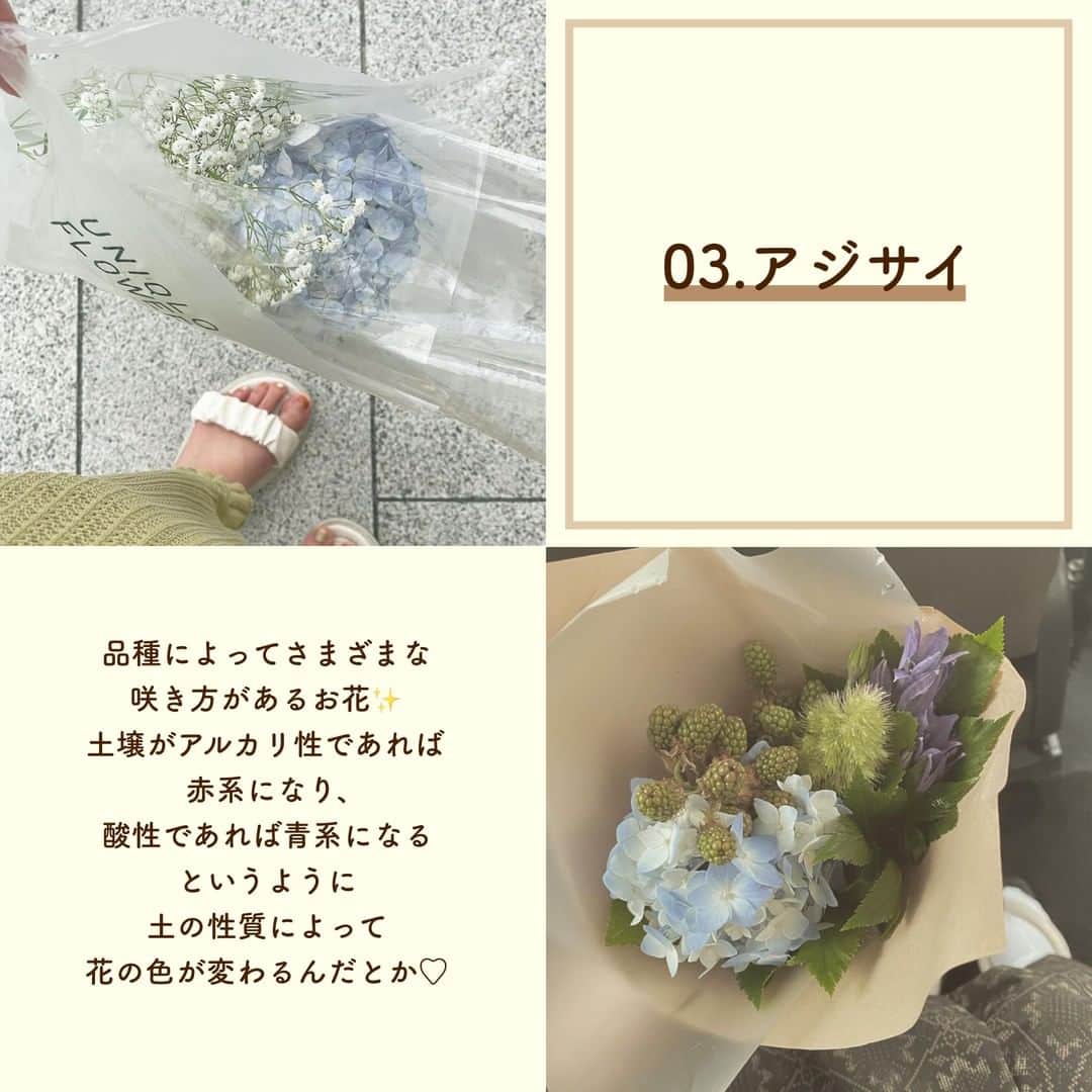 SUCLEさんのインスタグラム写真 - (SUCLEInstagram)「#今しか買えないお花6選  今回は夏にぴったりなお花をご紹介します🌻 ぜひお花と一緒にかわいい写真をとったりお部屋に飾ったりしてみてください♡  photo by @___rkk28 @mmyy_63 @ayu_h12 @mmyy_63 @asu_soar @t___momoka @kasumin.331 @__hanagyo__ @toida__de @cherrystyu @pu_320  @kabu_glam @omyb__   🧸❣️🧸❣️🧸 SucleではTikTokやYouTubeも更新中！ インスタには載せていない動画もオリジナルで制作しています🥣ᐝ プロフィールのリンクからぜひチェックしてみてくださいね👀💞  #夏の花 #花束 #ブーケ #花のある暮らし #お花のある暮らし  #お花 #花 #お花のある暮らしはじめました #お花好きな人と繋がりたい #トルコキキョウ #トルコキキョウブーケ #ヒマワリ #ヒマワリブーケ #アジサイ #アジサイブーケ #アルストロメリア #アルストロメリアブーケ #ルリタマアザミ #ルリタマアザミブーケ #アンスリウム  #アンスリウムブーケ」7月6日 21時00分 - sucle_