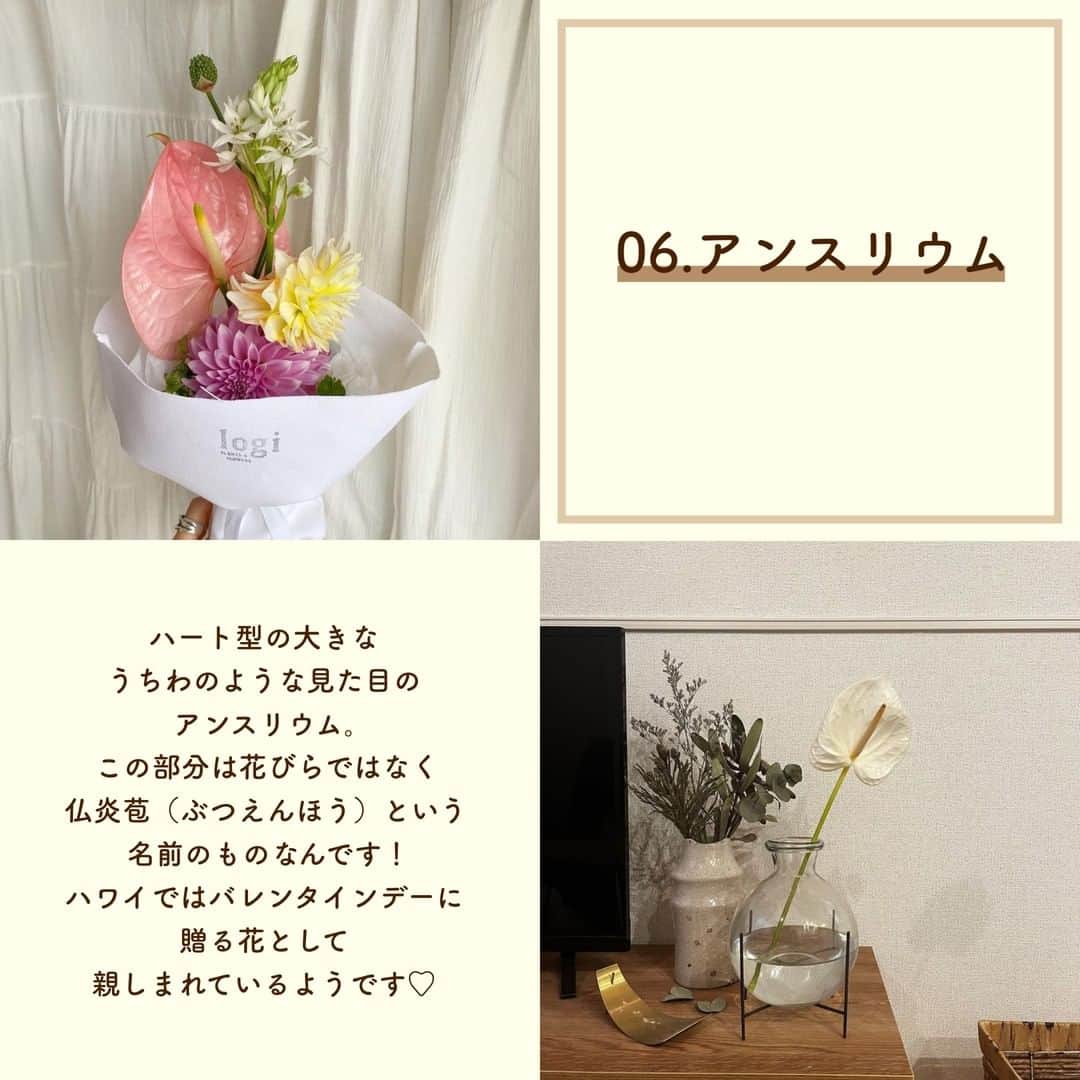 SUCLEさんのインスタグラム写真 - (SUCLEInstagram)「#今しか買えないお花6選  今回は夏にぴったりなお花をご紹介します🌻 ぜひお花と一緒にかわいい写真をとったりお部屋に飾ったりしてみてください♡  photo by @___rkk28 @mmyy_63 @ayu_h12 @mmyy_63 @asu_soar @t___momoka @kasumin.331 @__hanagyo__ @toida__de @cherrystyu @pu_320  @kabu_glam @omyb__   🧸❣️🧸❣️🧸 SucleではTikTokやYouTubeも更新中！ インスタには載せていない動画もオリジナルで制作しています🥣ᐝ プロフィールのリンクからぜひチェックしてみてくださいね👀💞  #夏の花 #花束 #ブーケ #花のある暮らし #お花のある暮らし  #お花 #花 #お花のある暮らしはじめました #お花好きな人と繋がりたい #トルコキキョウ #トルコキキョウブーケ #ヒマワリ #ヒマワリブーケ #アジサイ #アジサイブーケ #アルストロメリア #アルストロメリアブーケ #ルリタマアザミ #ルリタマアザミブーケ #アンスリウム  #アンスリウムブーケ」7月6日 21時00分 - sucle_