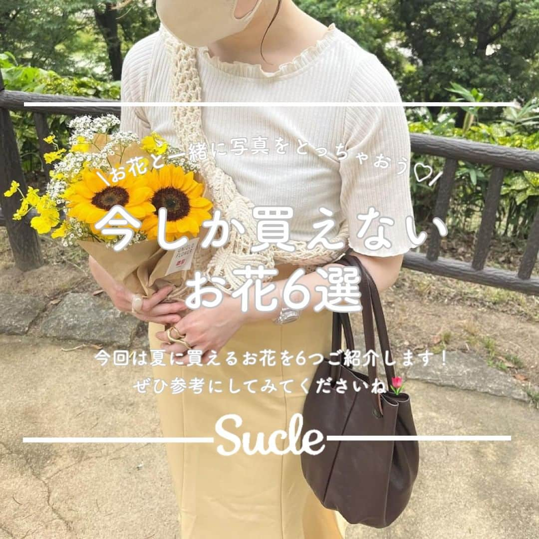 SUCLEさんのインスタグラム写真 - (SUCLEInstagram)「#今しか買えないお花6選  今回は夏にぴったりなお花をご紹介します🌻 ぜひお花と一緒にかわいい写真をとったりお部屋に飾ったりしてみてください♡  photo by @___rkk28 @mmyy_63 @ayu_h12 @mmyy_63 @asu_soar @t___momoka @kasumin.331 @__hanagyo__ @toida__de @cherrystyu @pu_320  @kabu_glam @omyb__   🧸❣️🧸❣️🧸 SucleではTikTokやYouTubeも更新中！ インスタには載せていない動画もオリジナルで制作しています🥣ᐝ プロフィールのリンクからぜひチェックしてみてくださいね👀💞  #夏の花 #花束 #ブーケ #花のある暮らし #お花のある暮らし  #お花 #花 #お花のある暮らしはじめました #お花好きな人と繋がりたい #トルコキキョウ #トルコキキョウブーケ #ヒマワリ #ヒマワリブーケ #アジサイ #アジサイブーケ #アルストロメリア #アルストロメリアブーケ #ルリタマアザミ #ルリタマアザミブーケ #アンスリウム  #アンスリウムブーケ」7月6日 21時00分 - sucle_