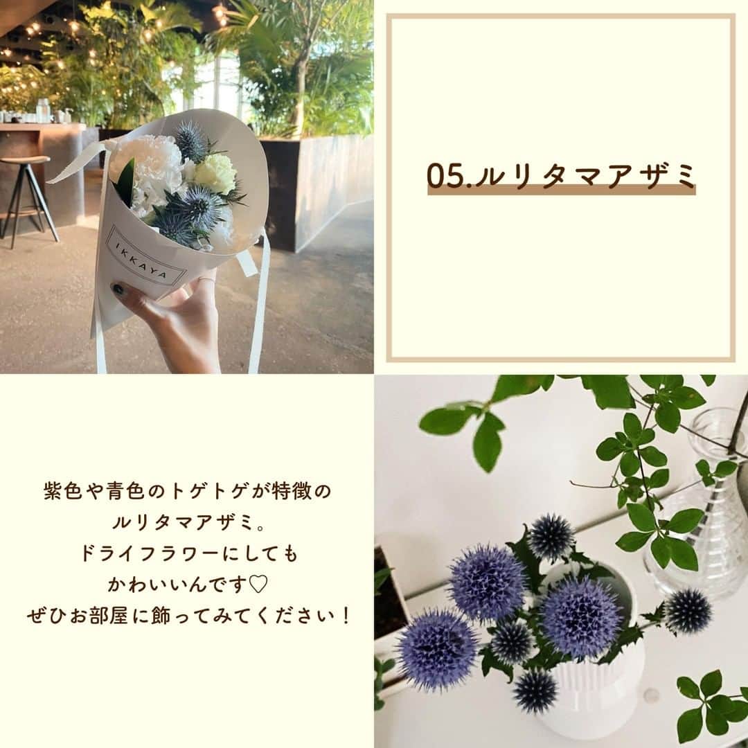 SUCLEさんのインスタグラム写真 - (SUCLEInstagram)「#今しか買えないお花6選  今回は夏にぴったりなお花をご紹介します🌻 ぜひお花と一緒にかわいい写真をとったりお部屋に飾ったりしてみてください♡  photo by @___rkk28 @mmyy_63 @ayu_h12 @mmyy_63 @asu_soar @t___momoka @kasumin.331 @__hanagyo__ @toida__de @cherrystyu @pu_320  @kabu_glam @omyb__   🧸❣️🧸❣️🧸 SucleではTikTokやYouTubeも更新中！ インスタには載せていない動画もオリジナルで制作しています🥣ᐝ プロフィールのリンクからぜひチェックしてみてくださいね👀💞  #夏の花 #花束 #ブーケ #花のある暮らし #お花のある暮らし  #お花 #花 #お花のある暮らしはじめました #お花好きな人と繋がりたい #トルコキキョウ #トルコキキョウブーケ #ヒマワリ #ヒマワリブーケ #アジサイ #アジサイブーケ #アルストロメリア #アルストロメリアブーケ #ルリタマアザミ #ルリタマアザミブーケ #アンスリウム  #アンスリウムブーケ」7月6日 21時00分 - sucle_
