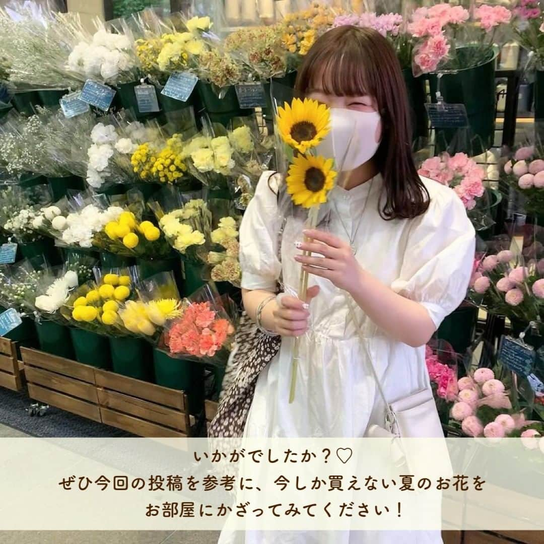 SUCLEさんのインスタグラム写真 - (SUCLEInstagram)「#今しか買えないお花6選  今回は夏にぴったりなお花をご紹介します🌻 ぜひお花と一緒にかわいい写真をとったりお部屋に飾ったりしてみてください♡  photo by @___rkk28 @mmyy_63 @ayu_h12 @mmyy_63 @asu_soar @t___momoka @kasumin.331 @__hanagyo__ @toida__de @cherrystyu @pu_320  @kabu_glam @omyb__   🧸❣️🧸❣️🧸 SucleではTikTokやYouTubeも更新中！ インスタには載せていない動画もオリジナルで制作しています🥣ᐝ プロフィールのリンクからぜひチェックしてみてくださいね👀💞  #夏の花 #花束 #ブーケ #花のある暮らし #お花のある暮らし  #お花 #花 #お花のある暮らしはじめました #お花好きな人と繋がりたい #トルコキキョウ #トルコキキョウブーケ #ヒマワリ #ヒマワリブーケ #アジサイ #アジサイブーケ #アルストロメリア #アルストロメリアブーケ #ルリタマアザミ #ルリタマアザミブーケ #アンスリウム  #アンスリウムブーケ」7月6日 21時00分 - sucle_