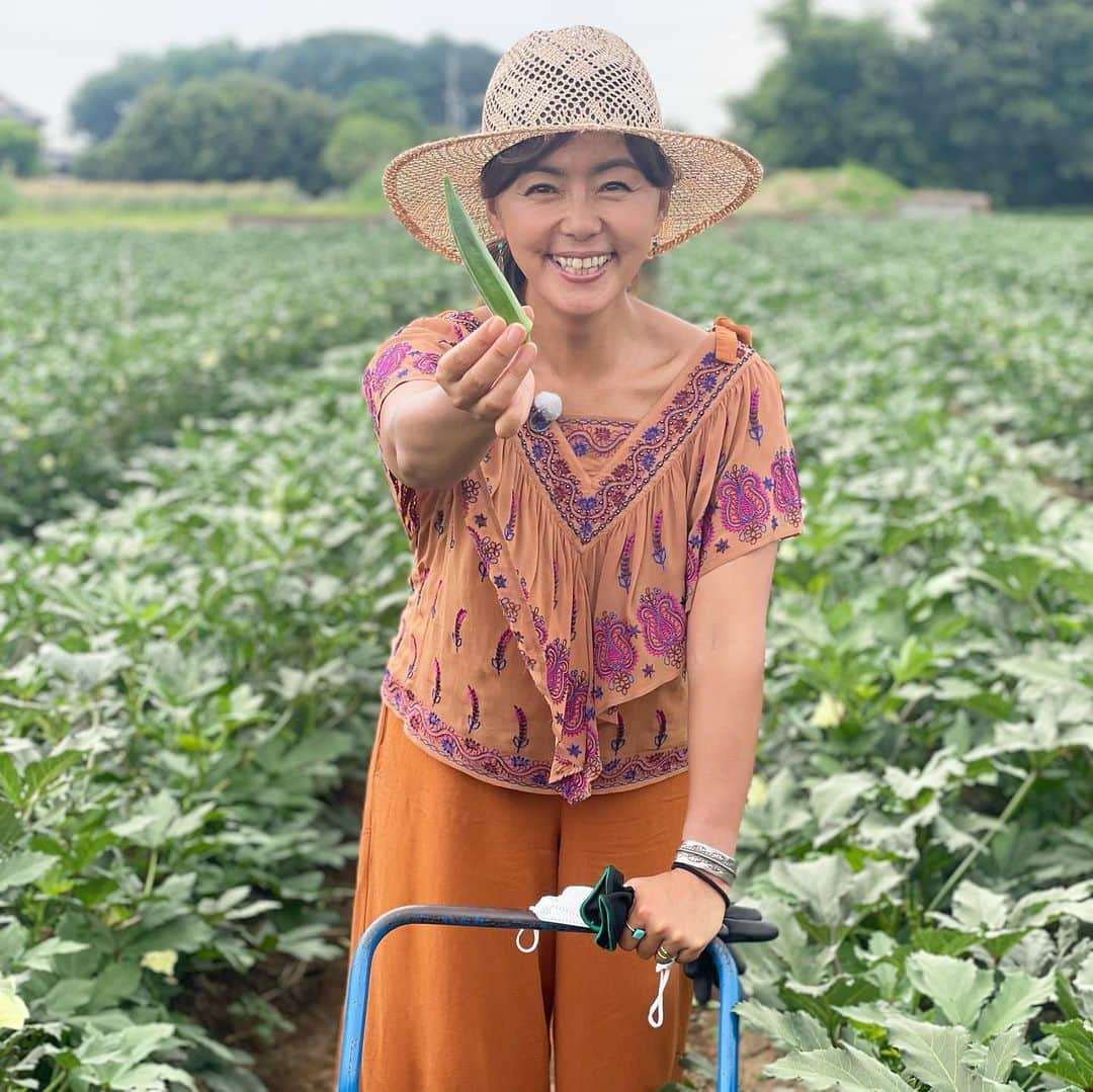 田中律子さんのインスタグラム写真 - (田中律子Instagram)「撮影で、埼玉県深谷にてロケ📷  深谷といえば…ネギ❗️って思ってたけど、今回は、オクラ畑✨  農家の松嶋さんとオクラの収穫💚花がハイビスカスみたいで可愛い、この花がポロっと落ちたら、中に小さなオクラが✨  収穫して、その場で食べたけど、甘くてネバネバで美味しい🤩 オクラはいつも脇役だったけど、色んな食べ方があるし、主役級の美味しさでした✨  松嶋さんの育てたオクラも、とうもろこし🌽もホントに美味しかったー、愛情たっぷり、大自然のエネルギーたっぷり🌞🌈  #埼玉  #オクラ畑  #地産地消  #大地の恵みに感謝  #野菜  #vegitable  #撮影」7月7日 8時42分 - ri2kotanaka