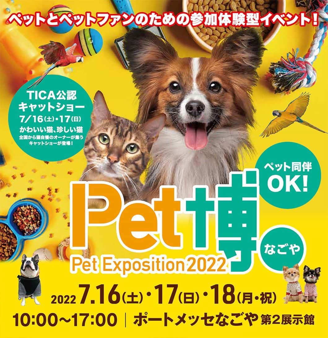 大原かおりさんのインスタグラム写真 - (大原かおりInstagram)「♡ 7月16日(土)〜7月18日(月.祝)の三連休は、 ポートメッセなごやでペット博が開催されます🐶😻💕 (※ペット同伴OKです🐶😽) ⑅◡̈⑅ コロナ感染者数が増えてきてしまっており心配はありますが 今のところは感染対策を万全にした上で開催する予定となっております。  今回もOttyブース出展致します🤗🎶 Ottyブースでは、この時期に必須のクール素材のタンクトップやカフェマット、そして新作のおやつ缶や、お名前入れタオルなど…直接見ていただけて、試着もしていただけます☺️🐶🫶  旧作商品のSALEコーナーは、相変わらずにかなりのお買い得価格です❣️  メインステージでは恒例の 『大原がおりのじゃんけん大会』もあります。 ３日間とも11時からとなります。  13時からは、松本秀樹さんのトークショー👨✨ 事前応募制のペットファッションショーも開催予定です🐶  とっても暑い三連休の様なきがするのですが… 熱中症対策を万全にして。。 そしてコロナの感染対策もお互いに万全にして。。 愛しのペットちゃんと一緒にぜひ遊びに来てくださいっ🐶💓 笑顔でお待ちしとります❤️  ⑅◡̈⑅ ペット博に関しての詳細は、ペット博オフィシャルサイトを ご覧ください💁‍♀️🔍 http://www.pethaku.com/nagoya/  🐶Pet博2022・名古屋🐶 7月16日(土)〜7月18日(月.祝) 10:00〜17:00 ポートメッセなごや 第2展示館 名古屋市港区金城ふ頭2-2 ⑅*⸌◡̈⸍*⑅  #ペット博 #Pet博 #ペット博 #名古屋ペット博 #ポートメッセなごや #Otty #オッティ #犬服 #犬グッズ #ステージイベント #松本秀樹 さん#じゃんけん大会 #マテ選手権 #愛犬ペットの似顔絵 #ワンちゃん大運動会 #鳥のサーカス #小動物 #は虫類 #ファームアニマル #ふれあいコーナー #鳥のコーナー #キャットショー #参加型イベント #盛り沢山 #Pet #🐶 #😻 #🐰 #🐷 #🐥 #💕」7月10日 19時22分 - oharagaori_otty