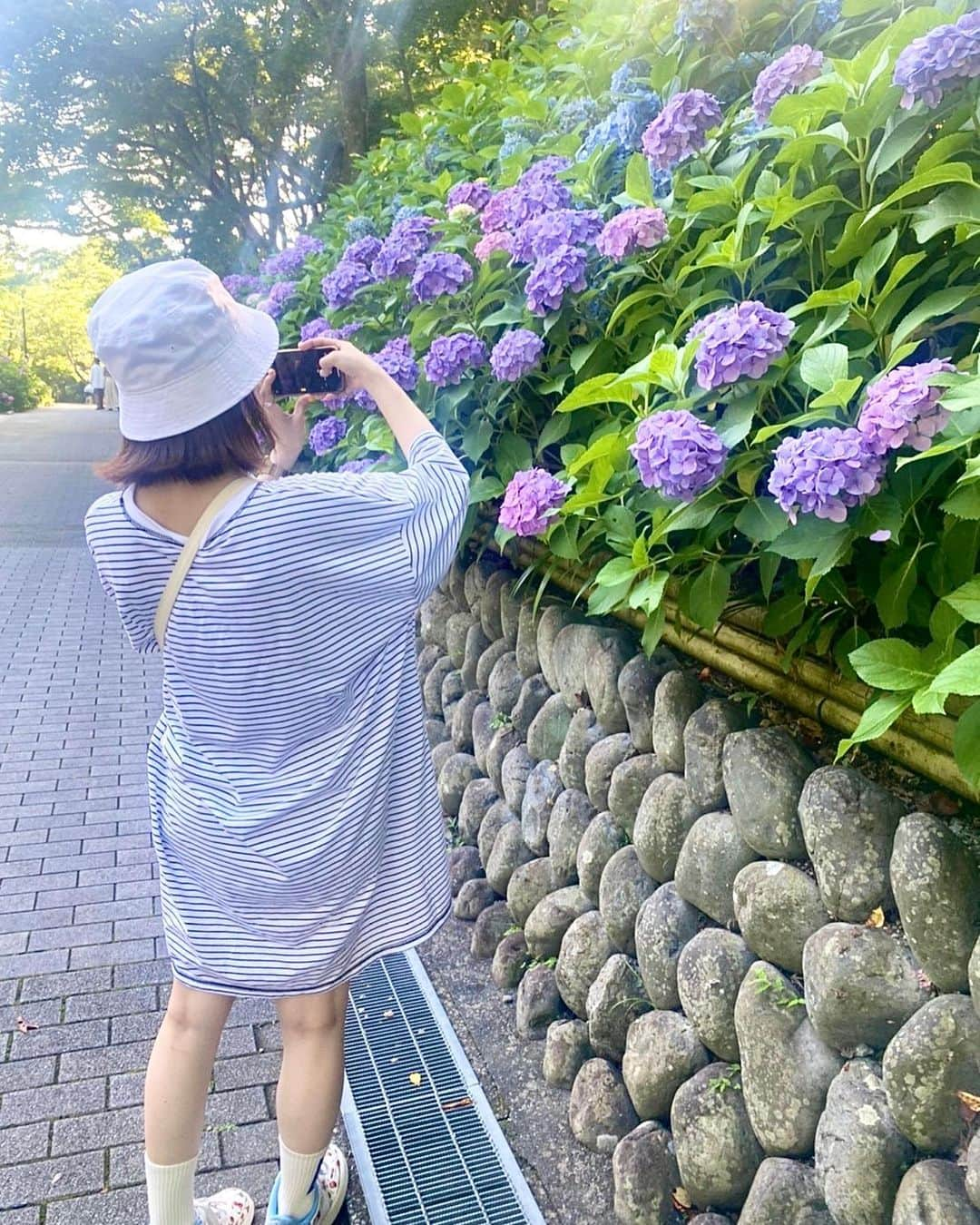 ぱいぱいでか美さんのインスタグラム写真 - (ぱいぱいでか美Instagram)「紫陽花きれいだ〜 . 静岡(浜松&袋井)シリーズ多分最後！ 法多山は傘で作った紫陽花も綺麗だったけど 本物の紫陽花もたくさん綺麗に咲いてました✨ 昨夜の大雨、避難指示も出るくらいだったからとても心配でした 今日は晴れてたみたいだけど大丈夫だったかな？ 地盤はまだ緩んでたりするかもしれないので 引き続きお気をつけくださいね。 静岡改めてめっちゃいいとこだなって思ったばかりだから みんなが今日は安心して眠れますように🙏🏻 . #浜松旅行 #静岡 #袋井 #法多山 #紫陽花 #でか美ちゃん」7月10日 21時38分 - paipaidekami