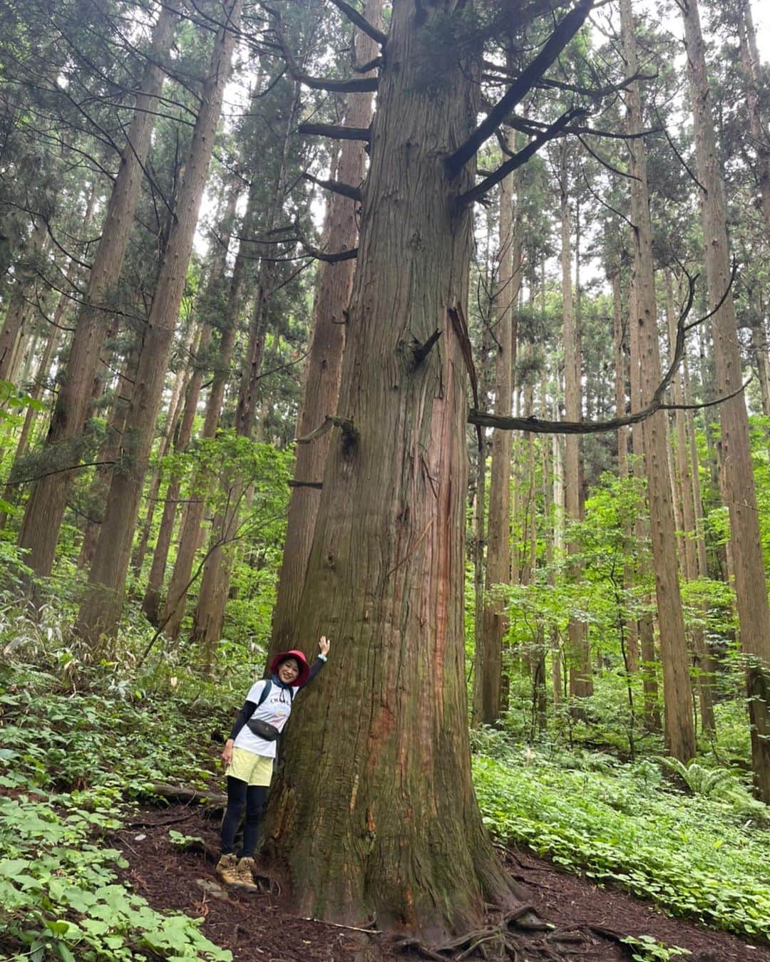 大隅智子さんのインスタグラム写真 - (大隅智子Instagram)「「おばんですいわて」のななちゃんとしおりちゃんと3人で標高1124mの姫神山へ。とにかく楽しかった！ 雲は出ていましたが、景色も素晴らしく、夏山登山もいいと感じました！　 虻が多くて大変でした。 #姫神山 #北上山地 #おばんですいわて #中條奈菜花 #中嶋栞」7月10日 22時52分 - tomokotenki
