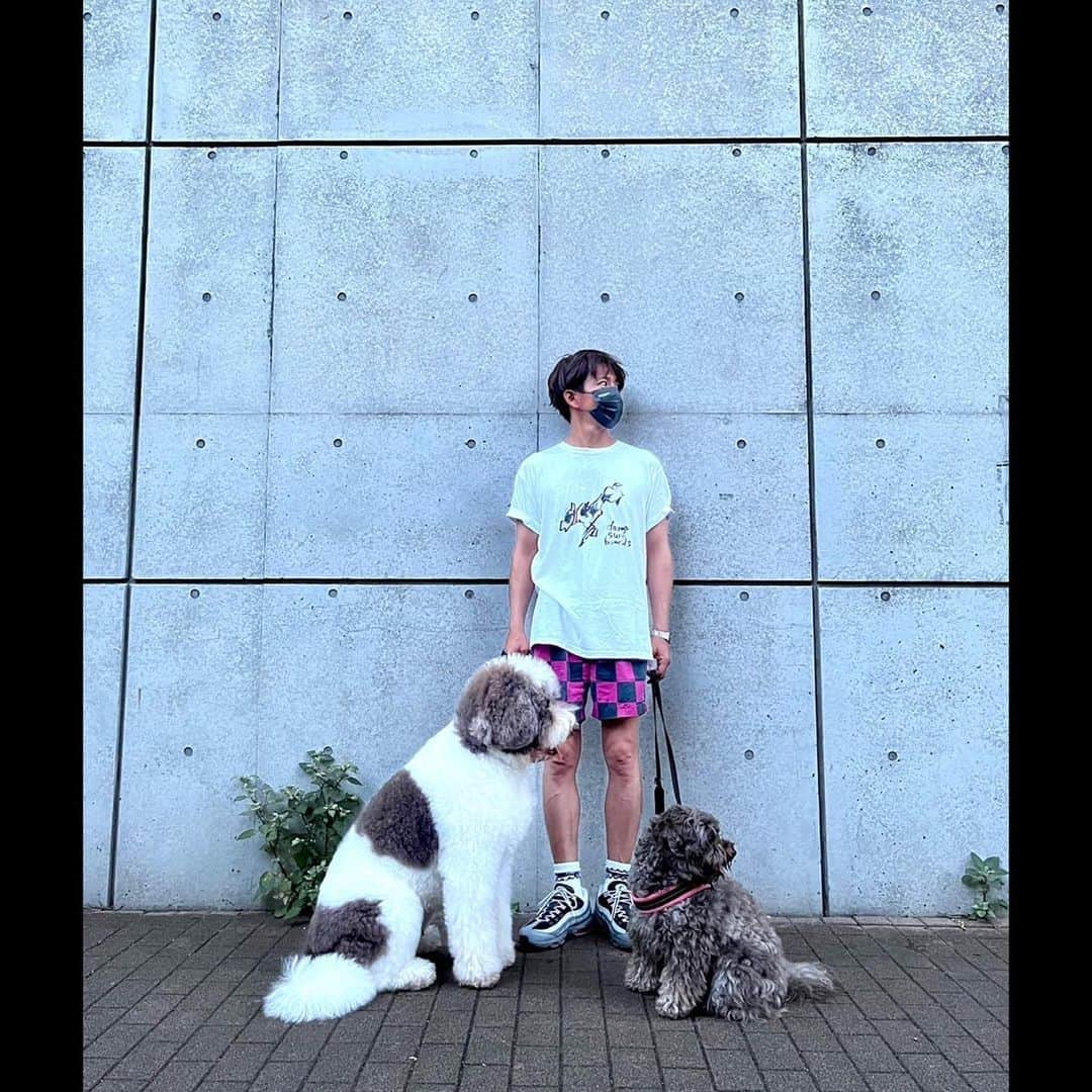 木村拓哉さんのインスタグラム写真 - (木村拓哉Instagram)「⁡ ⁡ ⁡ 「帰ったら7000歩❕ ⁡ 地面を触ったら、熱さは無くなってました…。 でも、Ｔshirtはびしょびしょでした。途中水分補給を2回、自動販売機の前で止まる犬たちです❕」 ⁡ PEACE‼︎ ⁡ STAYSAFE! ⁡ 拓哉 #木村拓哉#TakuyaKimura」7月11日 20時22分 - takuya.kimura_tak