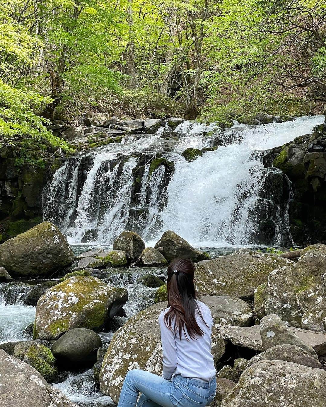 藤井美菜さんのインスタグラム写真 - (藤井美菜Instagram)「. 5月中旬の長野旅は、山と水と木々のパワーにリフレッシュできた、心の充電旅になりました🙆🏻‍♀️🍃 今はもう東京で次の撮影の準備中です🌼  最近は暑くて日中出かけるとすぐバテてしまいますが、水分補給や良い睡眠を取るように心がけて、体調管理を頑張っています😌✨  無理をしすぎない、というのも大事ですよね。 皆さんも夏バテにお気をつけて！私も頑張ります🍀  5월 중순 나가노 여행은 산과 물과 나무들의 힘을 얻어서 마음 충전 여행이 돼었어요🙆🏻‍♀️🍃  지금은 도쿄에서 다음 촬영 준비중이예요🌼  요즘은 너무 더워서 힘든데 수분보습하고 잘 자고 간강관리를 열심히 하고있어요!!  여러분도 너무 무리는 하지 마시고…화이팅이예요!!  저도 화이팅할게요🍀  #スワンに乗りたかった #写真だけ撮った #でもてんとう虫も悪くなかった #でもてんとう虫かなぁ#🐞  #長野#長野旅 나가노#여행#일본여행#무당벌레 #japan#nagano#japantrip#garden#flower#Ladybug」7月11日 22時19分 - fujii_mina_0715