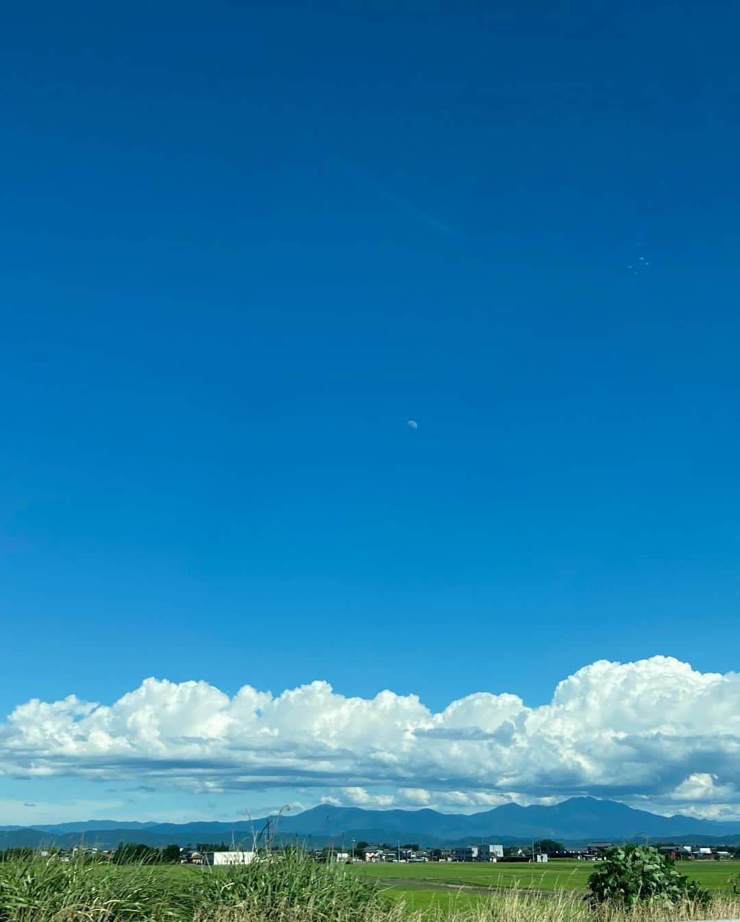 石塚かおりさんのインスタグラム写真 - (石塚かおりInstagram)「#夏の思い出作り  先日 夏空を見ながら加茂市まで。  以前雛人形のころおじゃました 山重さんのYama Cafe  ざわつく心が少しだけ和らぐような気がしました。  夏が好き。  #和カフェ#新潟#加茂市 #かき氷  #蔵#雰囲気良し#新潟カフェ #落ち着く空間  #抹茶スイーツ #白玉 #パンケーキ も#パフェ も #ドライブ#田園風景 #転地効果 #夏空#夏の夕暮れ #大好きな人たち#良い時間  #戻り梅雨 #新潟放送#アナウンサー #石塚かおり 明日もあなたと #石塚かおりのbrandnewday  #ブラニュー」7月12日 18時41分 - kaori_ishizuka413