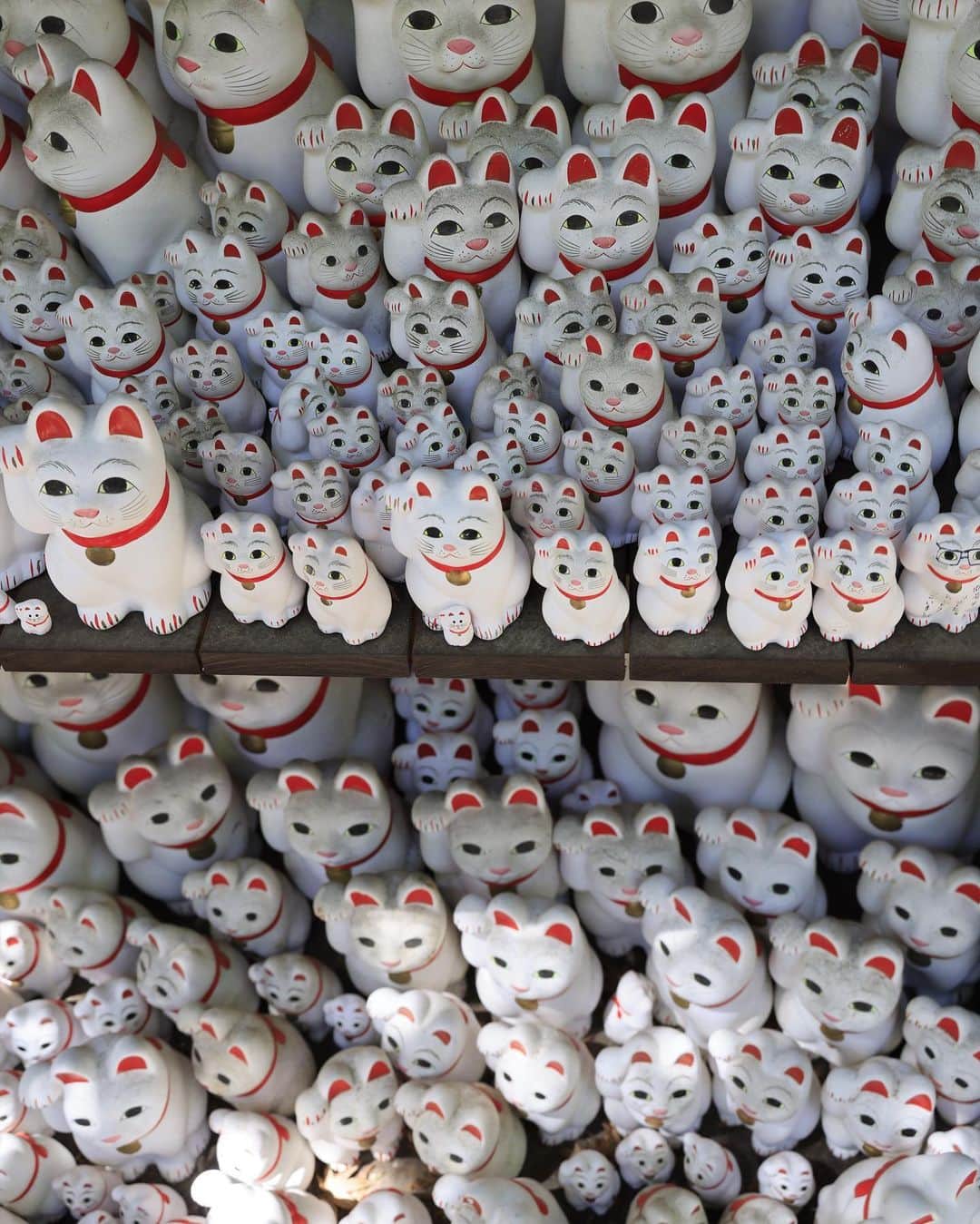 SHOCK EYEさんのインスタグラム写真 - (SHOCK EYEInstagram)「沢山の招き猫✨ この日の光はなんだか気持ちよかったなあ。 皆さんの元に福が招かれますように🙏✨  #豪徳寺 #招き猫 #gotokuji #temple #manekineko #luckycat #japan」7月12日 19時27分 - shockeye_official