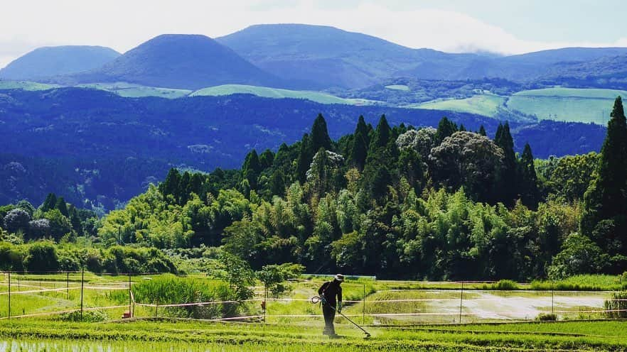 迫田さおりさんのインスタグラム写真 - (迫田さおりInstagram)「・ 湧水町で田植えをしてから約1ヶ月経ったよ😊🌾 ・ 稲もすくすく育ってて安心でした😊 ・ 湧水町の山からの湧き水をたくさん吸収してこれけらもぐんぐん育ってね🌾🌾🌾 ・ 稲が元気に育ってくれるのも、全て毎日手入れしてくれる猪俣さんのおかげです😊 暑い中も草刈り本当にありがとうございます🙇‍♀️ ・ さぁ‼︎収穫まで楽しんでいこうね😆🌾🌾🌾 ・ ・ #鹿児島 #湧水町 #田植え」7月12日 19時40分 - saori.rio