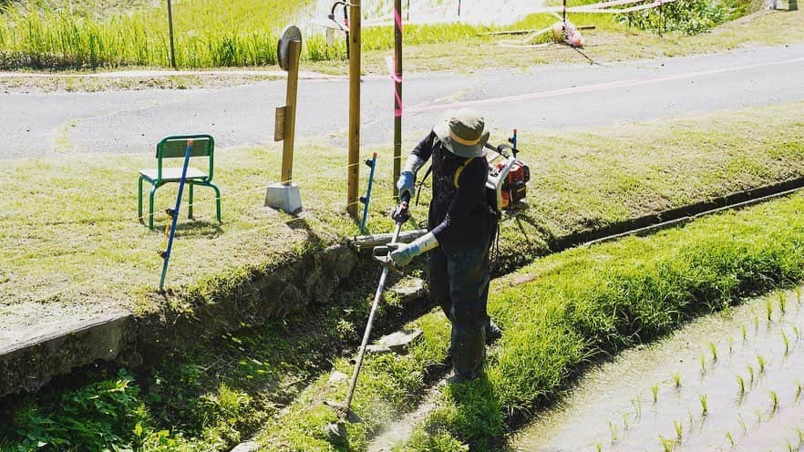 迫田さおりさんのインスタグラム写真 - (迫田さおりInstagram)「・ 湧水町で田植えをしてから約1ヶ月経ったよ😊🌾 ・ 稲もすくすく育ってて安心でした😊 ・ 湧水町の山からの湧き水をたくさん吸収してこれけらもぐんぐん育ってね🌾🌾🌾 ・ 稲が元気に育ってくれるのも、全て毎日手入れしてくれる猪俣さんのおかげです😊 暑い中も草刈り本当にありがとうございます🙇‍♀️ ・ さぁ‼︎収穫まで楽しんでいこうね😆🌾🌾🌾 ・ ・ #鹿児島 #湧水町 #田植え」7月12日 19時40分 - saori.rio