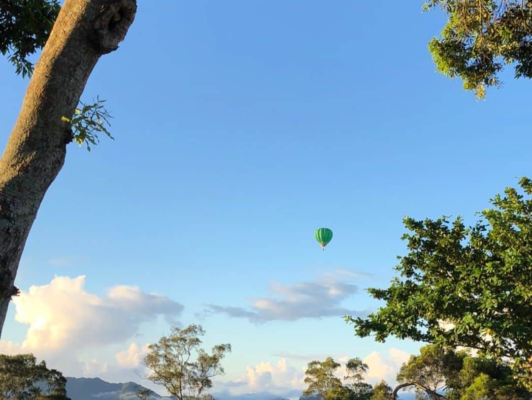 大久保麻梨子さんのインスタグラム写真 - (大久保麻梨子Instagram)「台東熱氣球自由飛體驗！ 2020第一次在台東熱氣球嘉年華體驗熱氣球自由飛 凌晨搭乘熱氣球時看到的景色真的非常壯觀好精彩很難忘的回憶！ 可惜當時還沒經營頻道沒拍到影片，於是這次拍攝了熱氣球自由飛體驗過程✨ 雖然過程發生了一些問題〜😂 歡迎來看看我的YT頻道✨「大久保麻梨子の台湾生活」  『台東で熱気球に乗ろう！』  ２つの山脈に挟まれて自然溢れる美しい台東を大満喫できる熱気球体験！ 台東で採れる珍しい果物狩りも！  #台東 #熱氣球 #台東景點 #台東美食 #台東熱氣球嘉年華 #台東旅遊 #台湾 #台湾旅行 #台湾生活 #台湾在住 #台湾在住日本人 #夫婦旅 #夫婦旅行 #台灣 #台灣景點 #台灣旅遊 #台灣旅行  #気球」7月12日 21時03分 - marilog0907