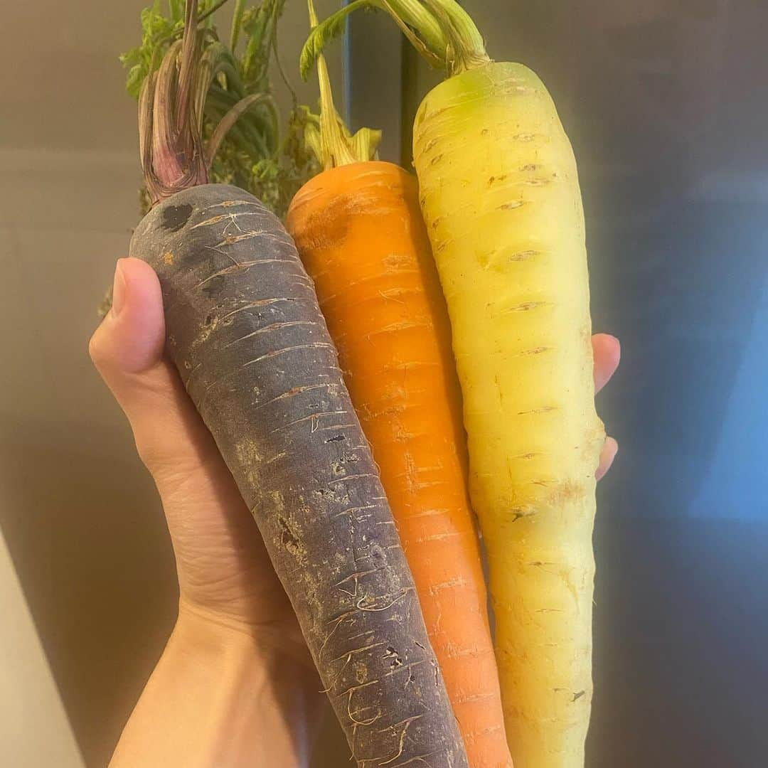 古谷有美さんのインスタグラム写真 - (古谷有美Instagram)「🥕 少し前、素敵なお姉さんたちから 葉付きニンジンを三色トリオで頂いたので パウンドケーキと二色きんぴらに。 にんじんがどれも甘いのなんの！  いかんせん横着なもので グラムまでしっかり計りたくない。 湯煎とか攪拌とかしたくない。 お菓子作りなんて一生無理！と思っていたけれど やってみたらなんとかなってくる。 (まだまだ改善の余地あり) 何事も決めつけずやってみよ 人生その方が豊かで何倍も楽しめる👏 下半期のゆる〜い目標設定でした。  #ケーキは砂糖卵牛乳なしで #クリームはお豆腐です」7月13日 11時35分 - yuumifuruya