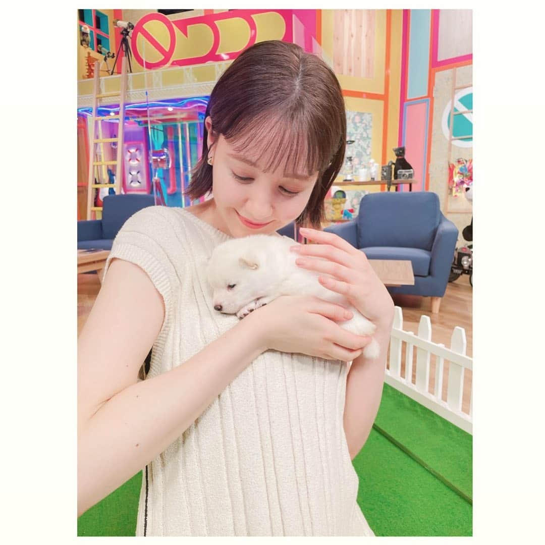 トリンドル玲奈さんのインスタグラム写真 - (トリンドル玲奈Instagram)「このあと7時からは 「ウラ撮れちゃいました」ぜひご覧ください🐕  outfit  @amerivintage  shoes  @charleskeith_jp」7月14日 18時19分 - toritori0123