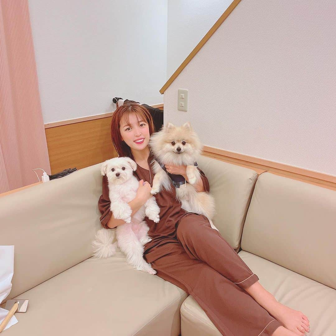 手束真知子さんのインスタグラム写真 - (手束真知子Instagram)「楽天トラベルゴールドアワード受賞の「フォレストヒルズ那須」へ行ってきました〜！！  愛犬にとても優しいお宿🥰🐶 生憎の雨でしたが、那須最大級の全面天然芝ドッグランでは愛犬たち大はしゃぎ！ さまざまなタイプのドッグランやフリーエリアがあって、屋根付きのドッグランは雨の日でも快適でした☔️🐾  お部屋は全てコテージタイプだからコロナ渦でも安心して過ごせるのがいいですよね。 お部屋にもプライベートドッグランが付いていたり、温泉が付いていたりと至れり尽くせり🥰🥰🥰  今回は利用しなかったけど、ワンちゃんと一緒に入れるレストランも併設されているので次回はぜひ行ってみたい〜っ  そして、 姉妹店の板室別邸の 貸切露天風呂と犬と入れる足湯にもおじゃましました〜  貸切露天風呂は、犬用バスタブもあって愛犬も温泉に浸かれちゃいます♨️ 温泉大好きな私に1時間入浴付き合ってくれた愛犬たちありがとう😆♨️ 大好きな温泉に大好きな愛犬と一緒に入れるなんて幸せすぎます！！ この時期ならではのヒグラシの鳴き声と共に、至福の時間を過ごすことが出来ました。感動です。  次は晴れた日に…！！ また行きますっっ  PR @hotel_foresthills #フォレストヒルズ那須 #ペットと泊まれる宿 #犬と旅行 #犬と休日 #ペットホテル #愛犬と旅行 #ペット可 #トリドリベース」7月14日 22時34分 - machikotezuka