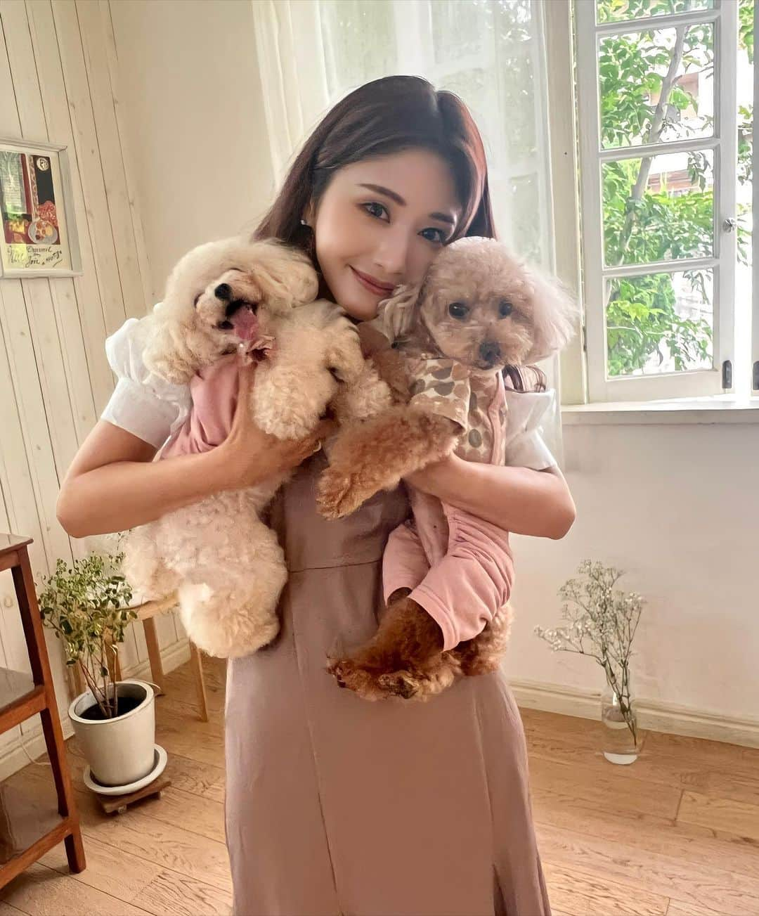 一木美里さんのインスタグラム写真 - (一木美里Instagram)「愛するベルららと今年もPet&Chouetteの広告撮影📸ありがとうございます💕　 公開されたらまたいっぱいアップします🐶🐶💕　  Pet&Chouette's ad photo shooting with my sweeties📸 Thank you so much💕　  #chouette#ペットアンドシュエット」7月16日 9時29分 - misato_ichiki