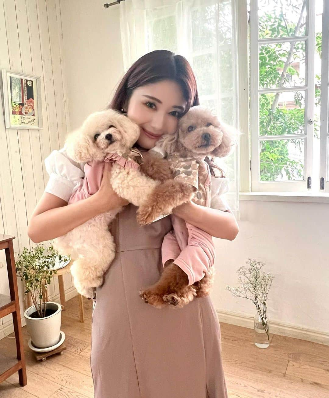 一木美里さんのインスタグラム写真 - (一木美里Instagram)「愛するベルららと今年もPet&Chouetteの広告撮影📸ありがとうございます💕　 公開されたらまたいっぱいアップします🐶🐶💕　  Pet&Chouette's ad photo shooting with my sweeties📸 Thank you so much💕　  #chouette#ペットアンドシュエット」7月16日 9時29分 - misato_ichiki