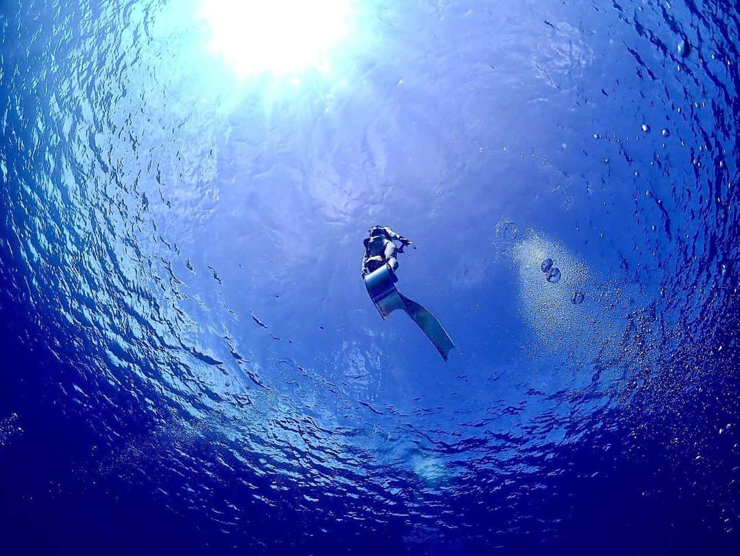 山崎みどりさんのインスタグラム写真 - (山崎みどりInstagram)「🫧🫧🫧🫧🫧 ────────────────────────── @leaderfins  #longfin #ロングフィン#fin #nagannuisland  #skindiving #スキンダイビング#スキンダイブ #longfin #cruiser#cruising  #マーメイド #leaderfins #okinawa #island #ocean #sea #underwaterphotography #underwater #skindiving #divermag #bestjapanpics #🧜‍♀️ #freediving #spearfishing#mermaid #freedive #freediver #diving #diver #freedivers #swim #swimming」7月16日 17時17分 - midori_yamasaki_