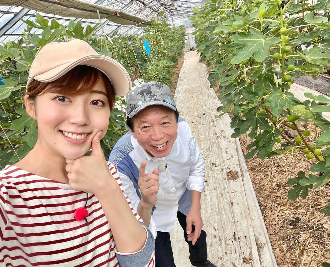 澤井志帆さんのインスタグラム写真 - (澤井志帆Instagram)「.2022.7.17 ⁡ きょうのごちカンは静岡市清水区のイチジクについてお送りしました😋💗 ⁡ 採れたてを頂きましたがとっても甘くて美味しかったです♩ イチジクは皮ごと食べるのが大好き😚 ⁡ ⁡ #DaiichiTV#アナウンサー#ごちカン#ごちそうカントリー#静岡県#静岡市#清水区#イチジク」7月17日 19時51分 - shiho_sawai