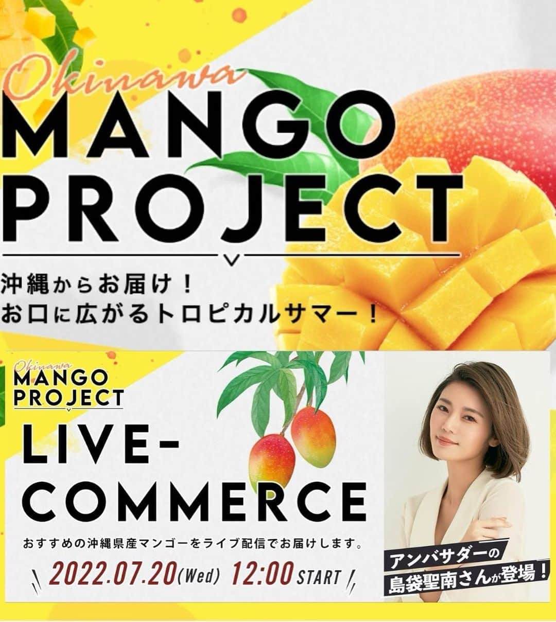 島袋聖南さんのインスタグラム写真 - (島袋聖南Instagram)「@mangookinawa のアンバサダーに就任しました💛 皆さんに南国フルーツの魅力を伝えていきたいです！ またプロジェクトに携わり、地元沖縄の経済活性化のお手伝いが出来たら嬉しく思います。 今回、販売する沖縄マンゴーを一足先にいただきました😍 沖縄マンゴーはただ甘いだけではなく糖度と酸味のバランスが取れていることが魅力です😋🥭 そして、2022年7月20日（水） 12:00〜 ライブコマースも出演決定しました！ 購入者特典では、抽選でペア沖縄行き航空券やさまざまなプレゼント企画があるみたい✨ 沖縄からライブ配信でお届けするのでぜひ見てくださいね🥰 #PR #沖縄マンゴープロジェクト #沖縄マンゴー #沖縄 #okinawa #マンゴー」7月18日 18時45分 - seina4444