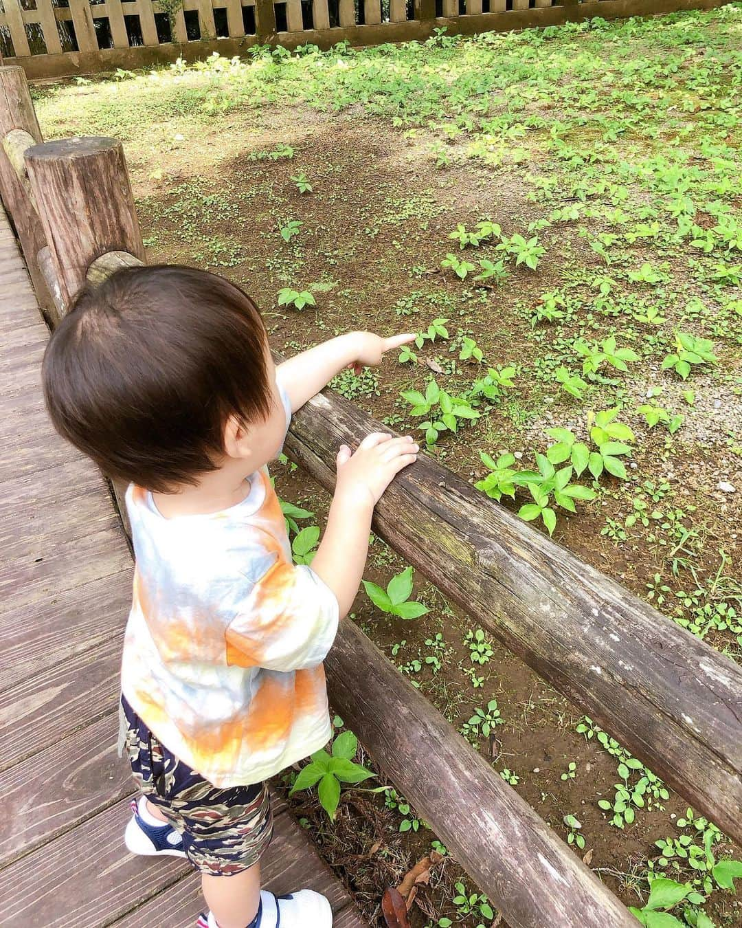 迫田さおりさんのインスタグラム写真 - (迫田さおりInstagram)「・ 癒しの1日🌳 ・ ・」7月18日 20時25分 - saori.rio