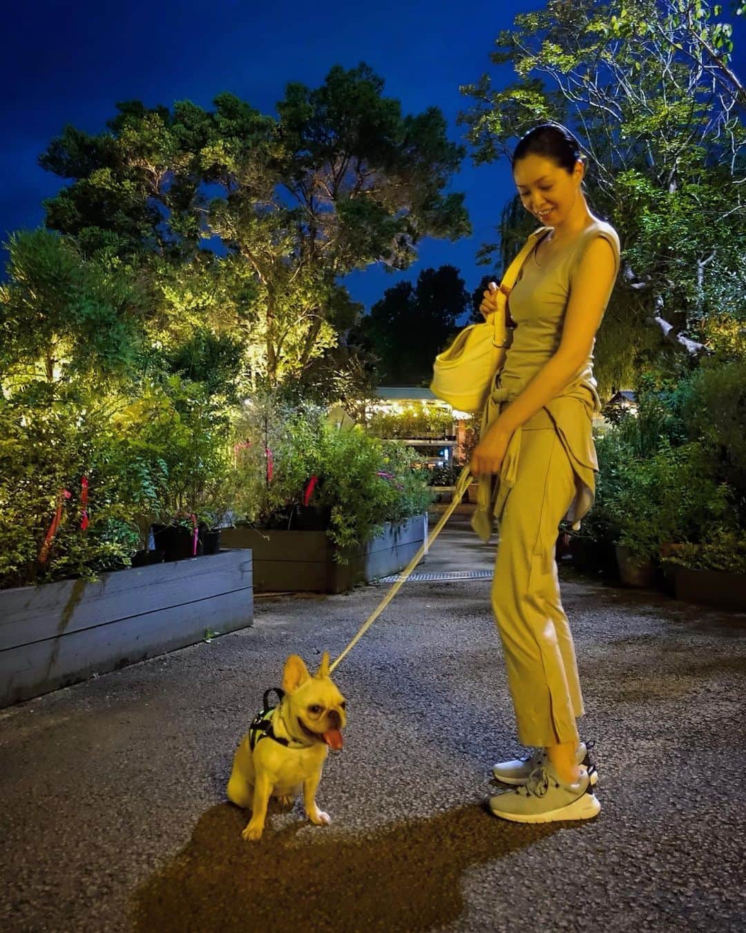 川原亜矢子さんのインスタグラム写真 - (川原亜矢子Instagram)「Hot summer night #nightwalk #frenchbulldog #dog #夜散歩 #フレンチブル #フレブル #犬 #ヨジンヨ」7月18日 23時35分 - ayakokawahara